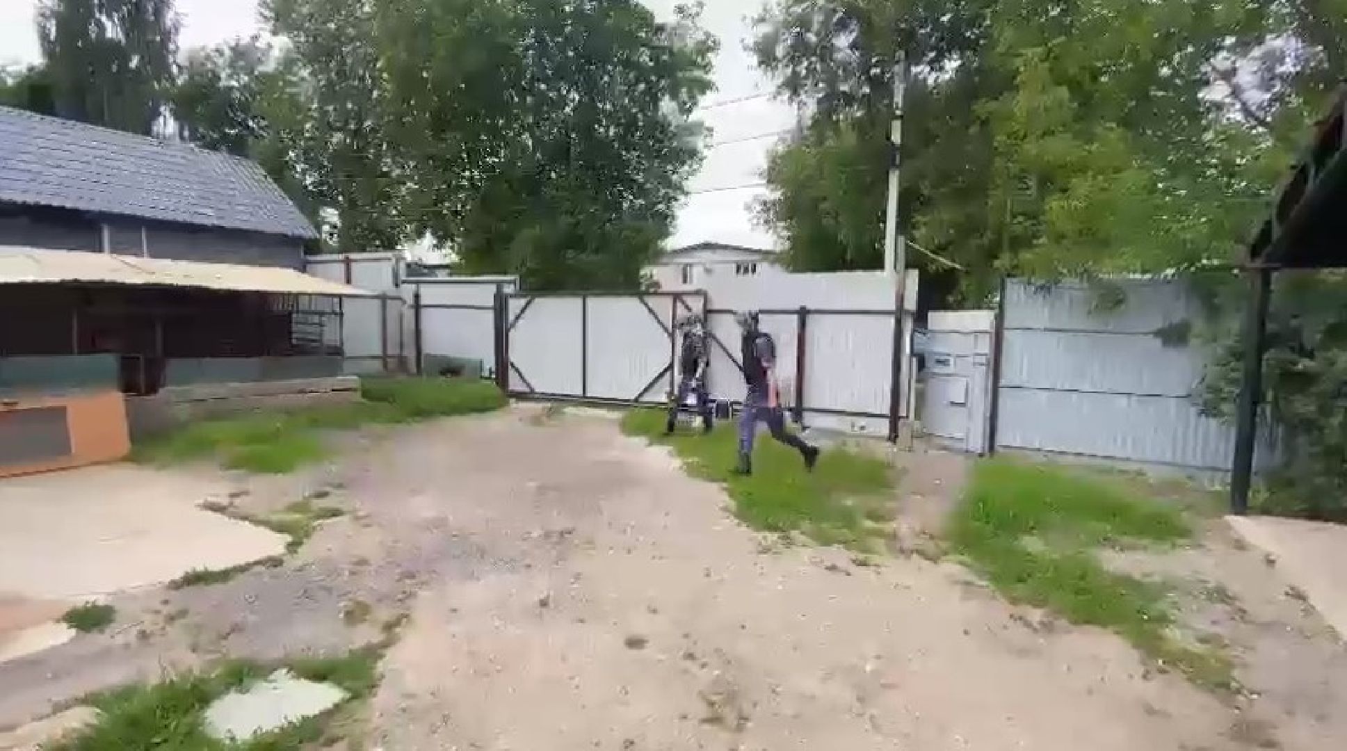 Росгвардия, Домодедово