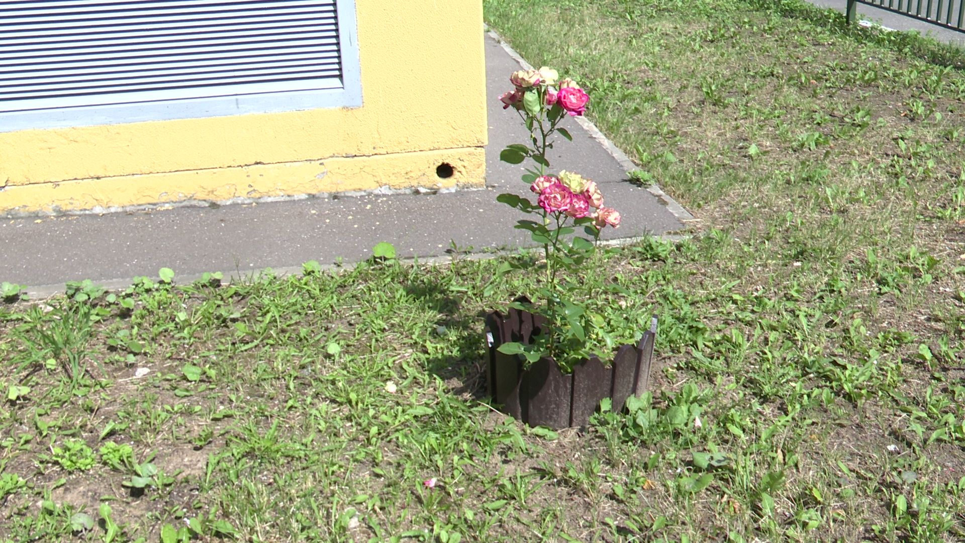 Реутов, благоустройство, конкурс главы, комфорт