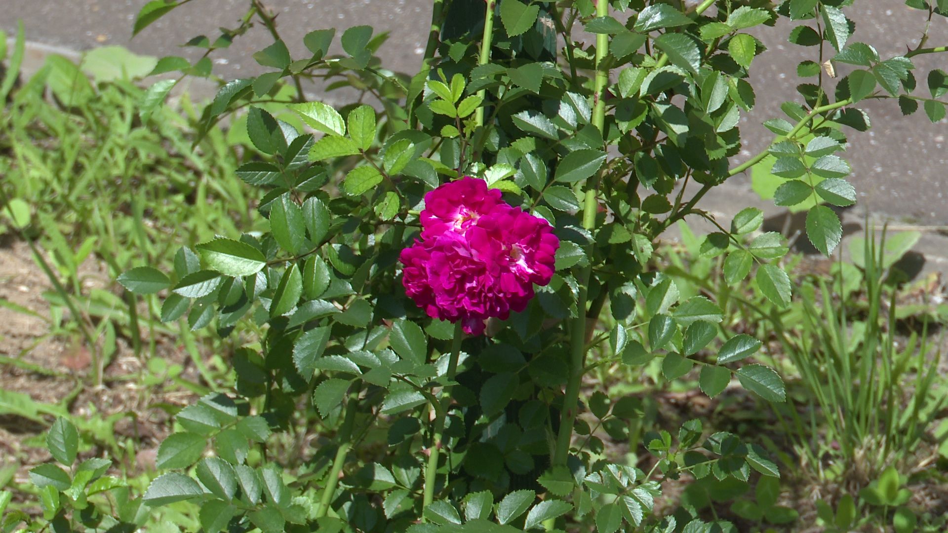 Реутов, благоустройство, конкурс главы, комфорт