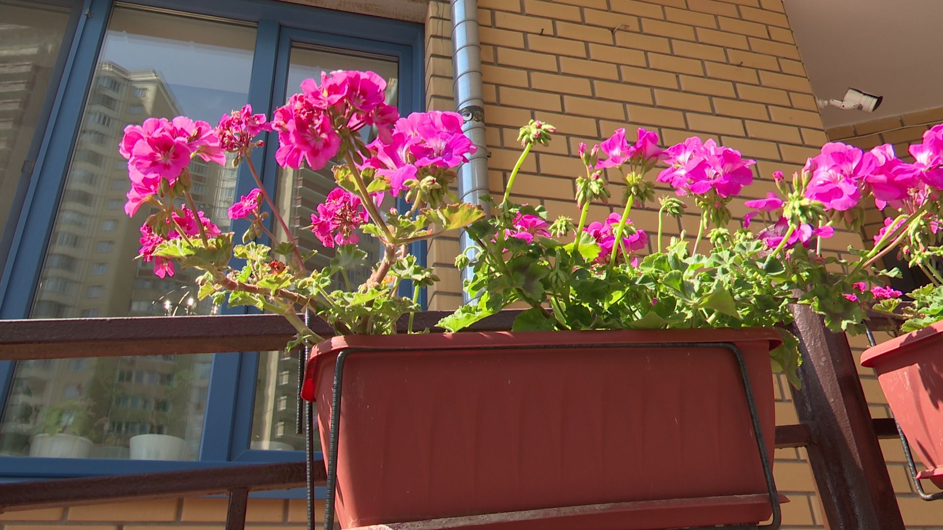 Реутов, благоустройство, конкурс главы, комфорт