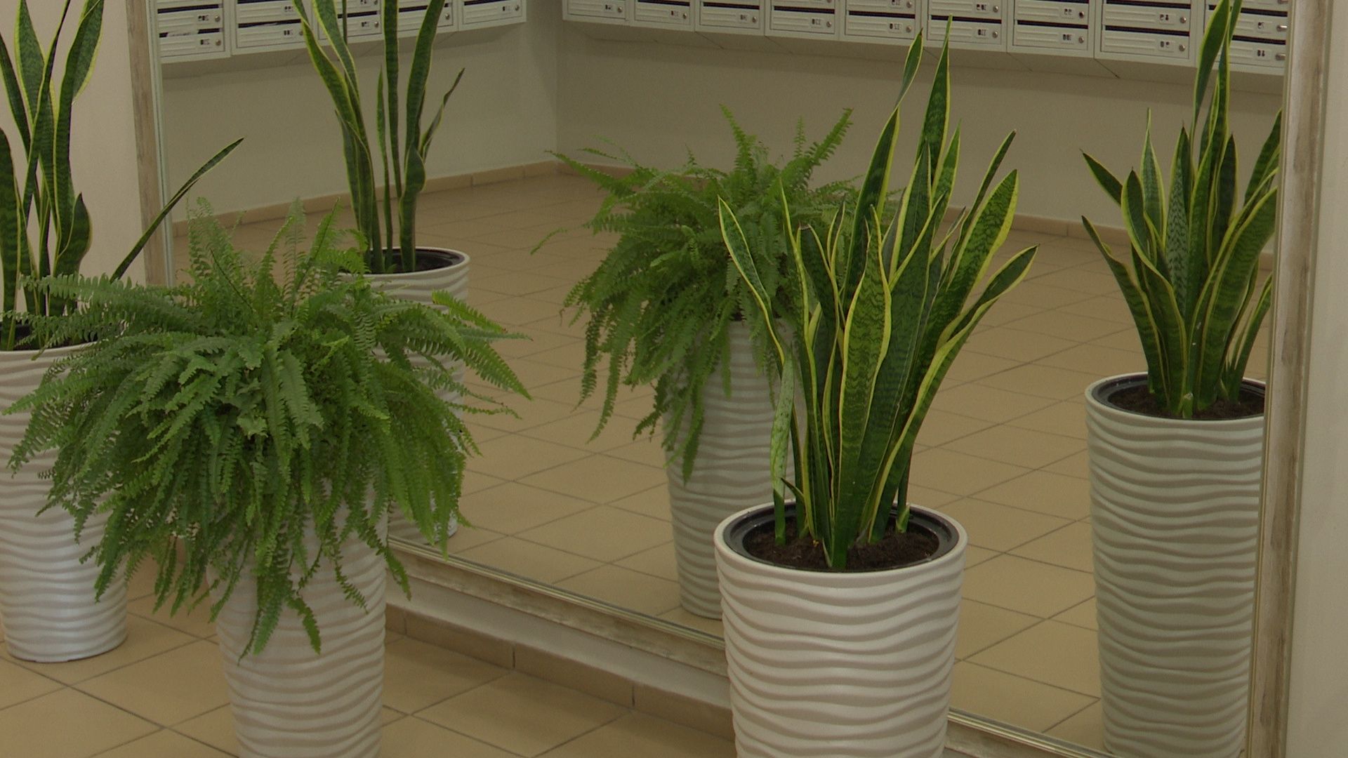 Реутов, благоустройство, конкурс главы, комфорт