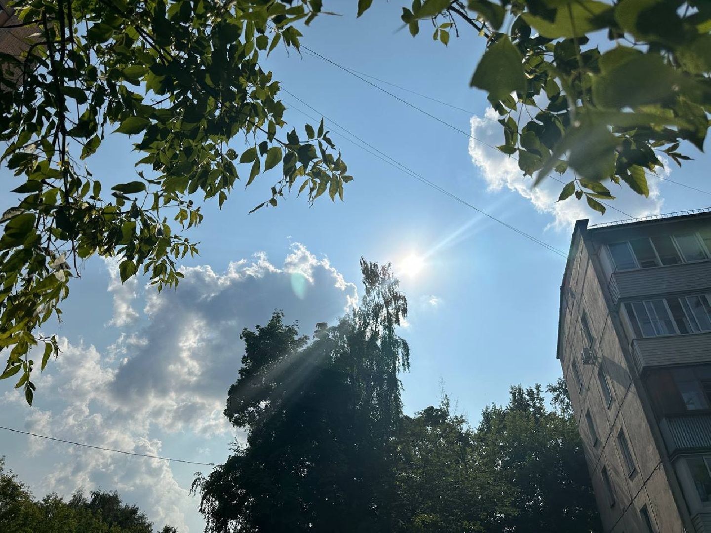 Реутов, конкурс, Лето в Подмосковье, фотографии