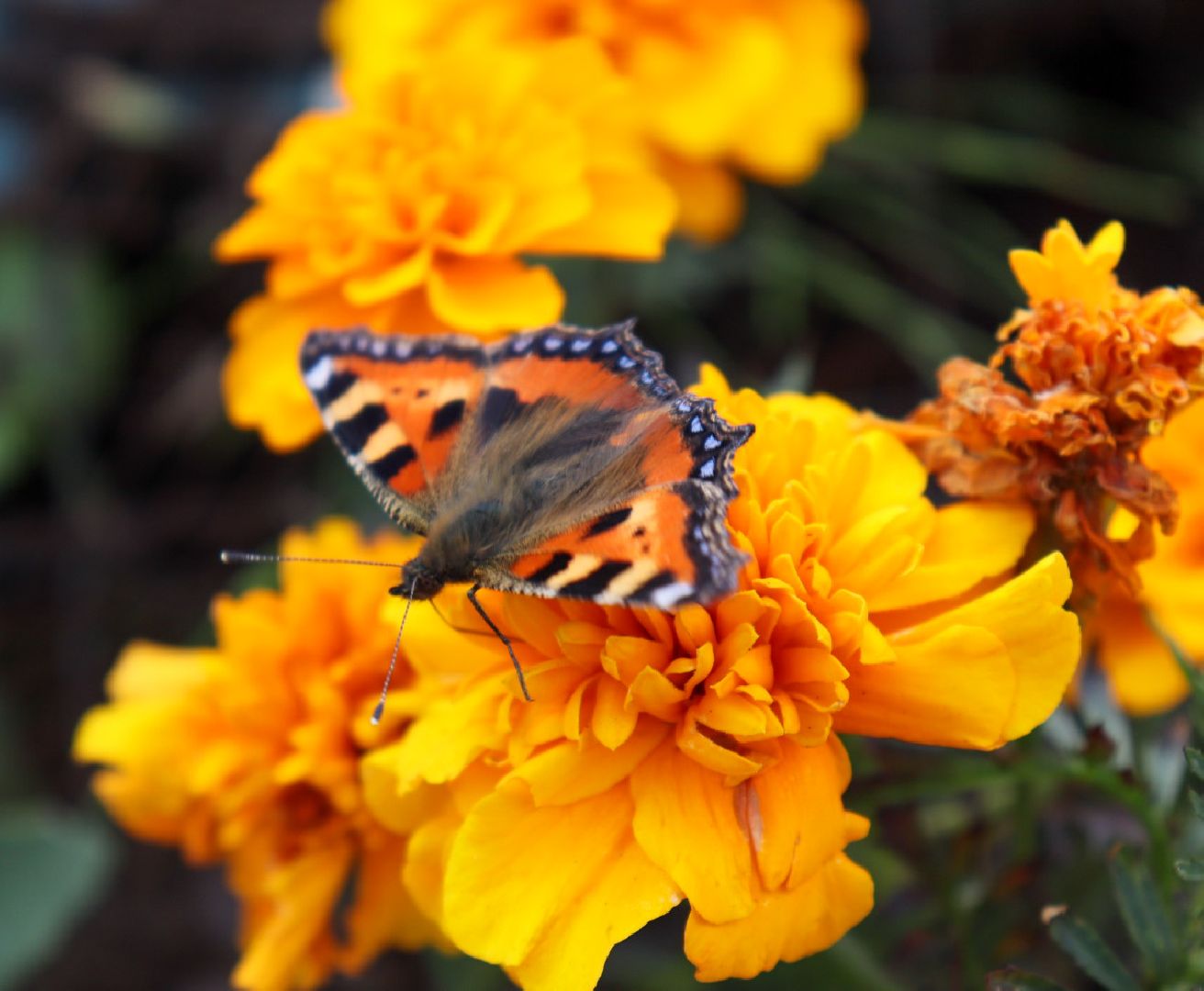 #Рошаль#парк#КрестовБрод#лето#селфи