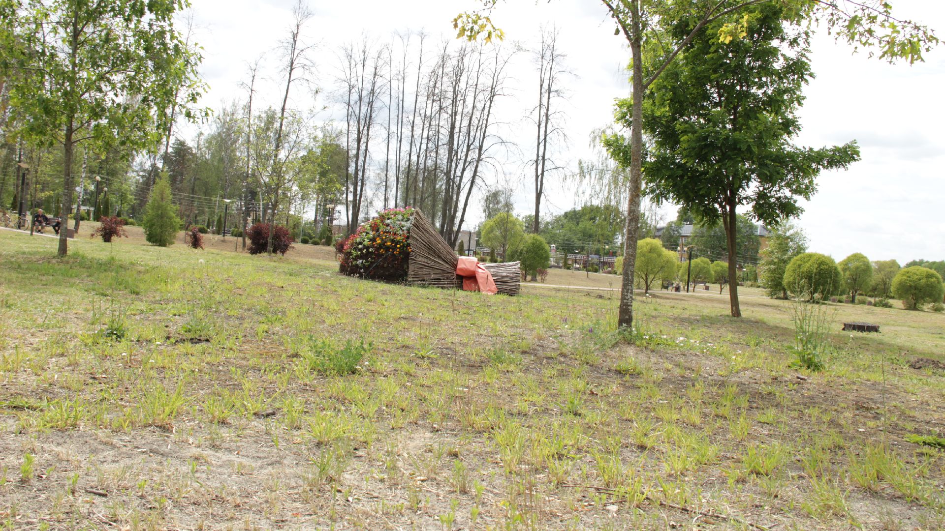 #Рошаль#парк#КрестовБрод#лето#селфи