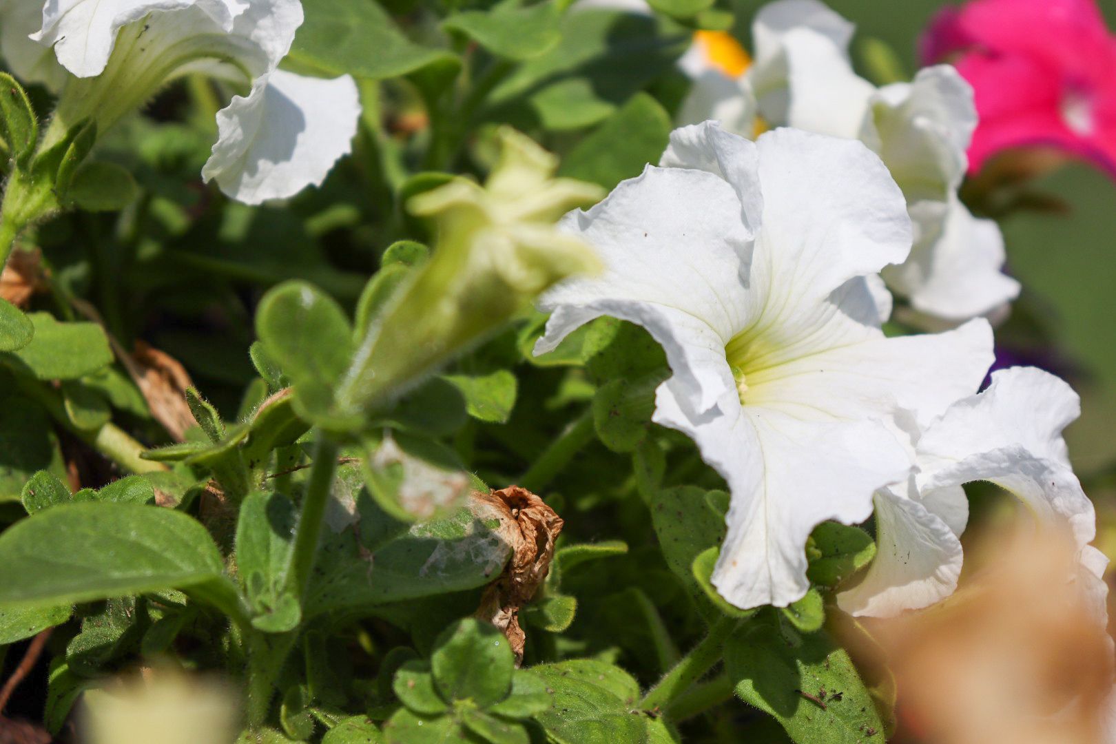 #Рошаль#парк#КрестовБрод#лето#селфи