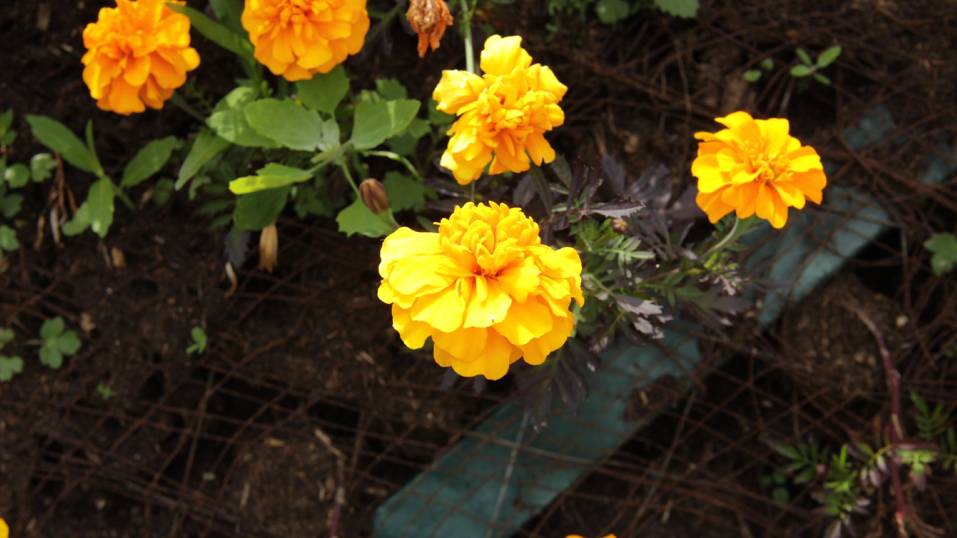 #Рошаль#парк#КрестовБрод#лето#селфи