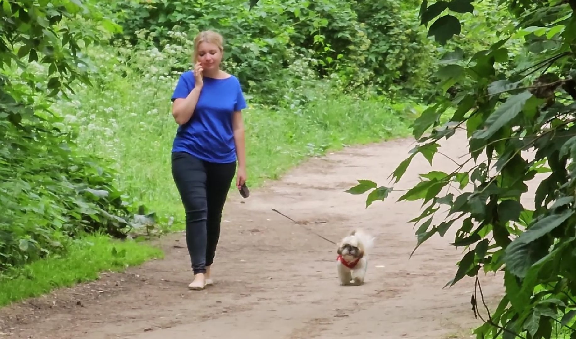 вакцинация от бешенства, выгул животных, Котельники