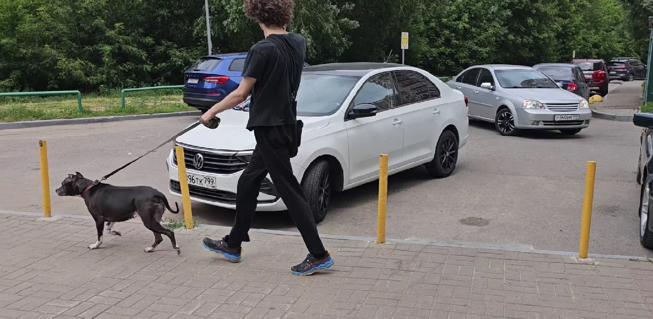 вакцинация от бешенства, выгул животных, Котельники