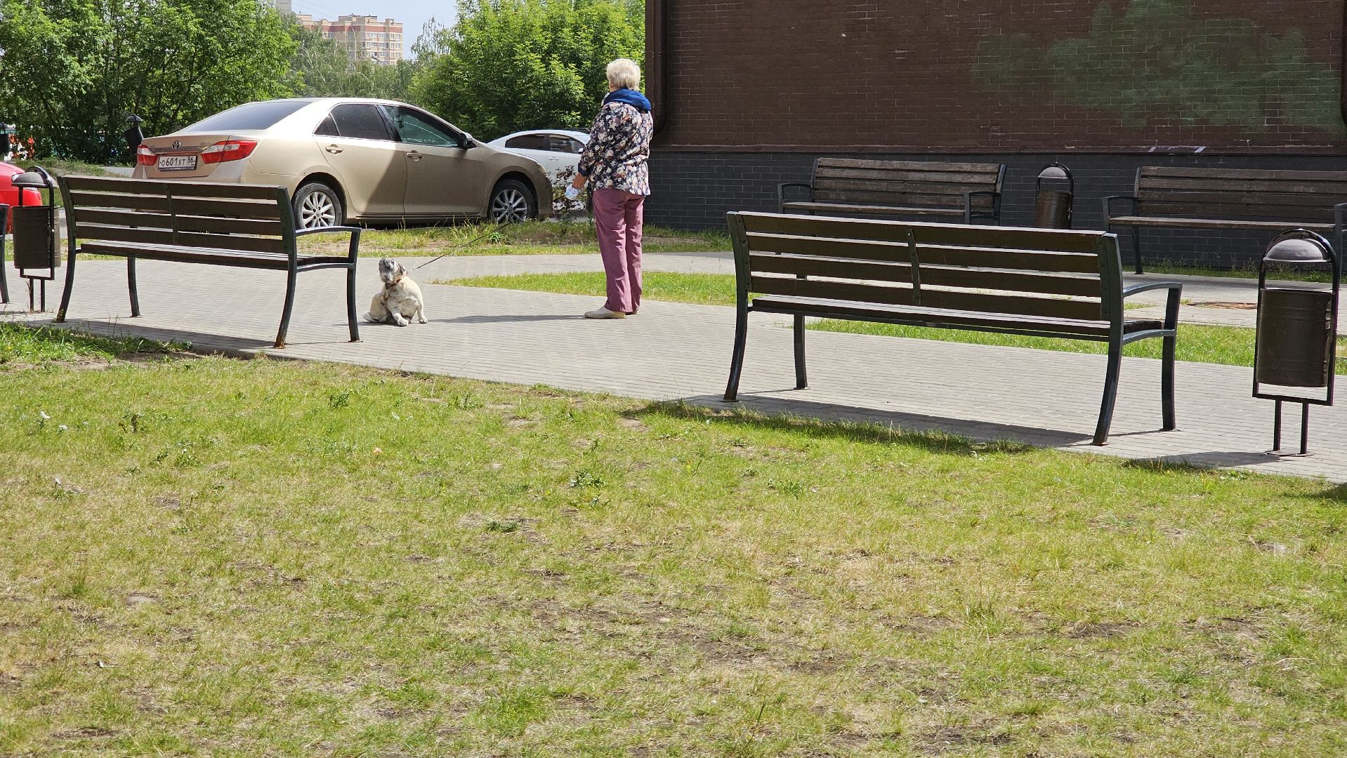 вакцинация от бешенства, выгул животных, Котельники