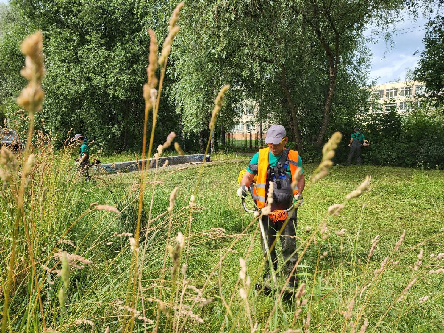 Дмитров, Благоустройство, Покос