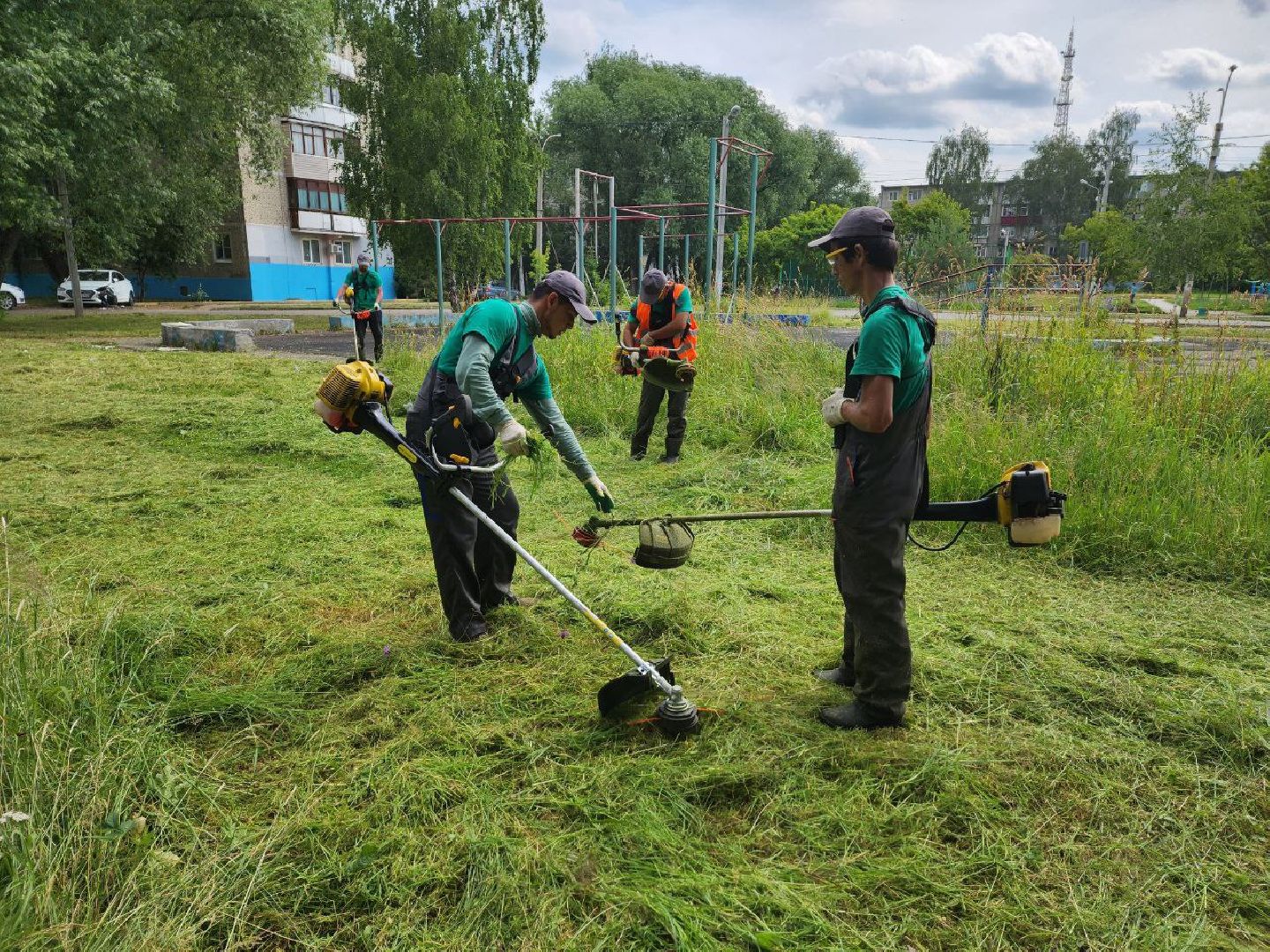Дмитров, Благоустройство, Покос