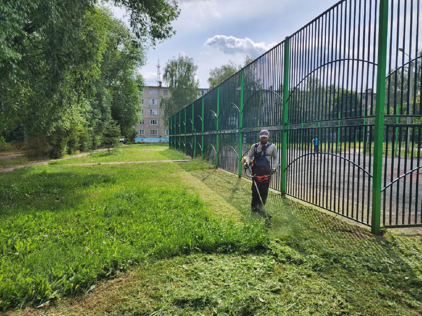 Дмитров, Благоустройство, Покос