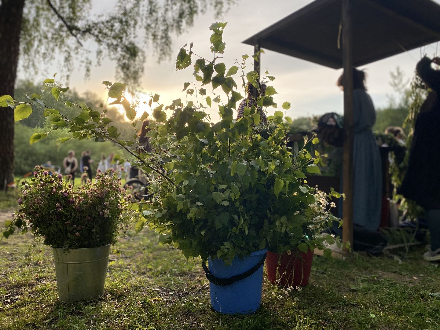 Домодедово, день Ивана Купалы, русский традиции, лесопарк, обряд, гадание, плетение венков