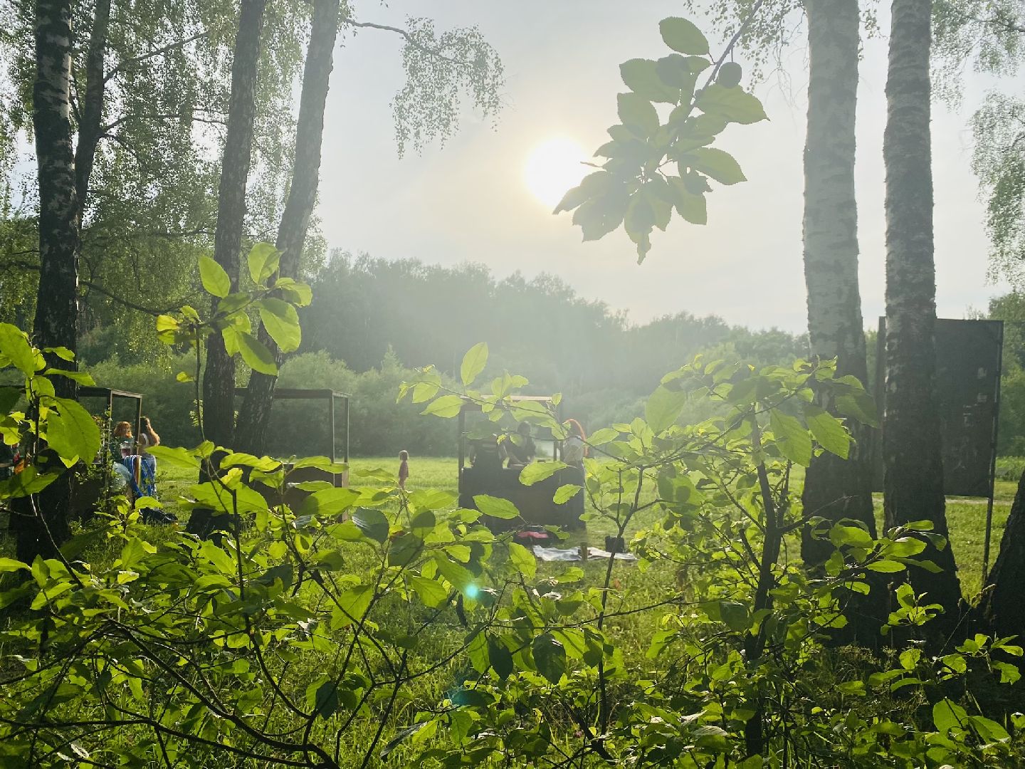 Домодедово, день Ивана Купалы, русский традиции, лесопарк, обряд, гадание, плетение венков