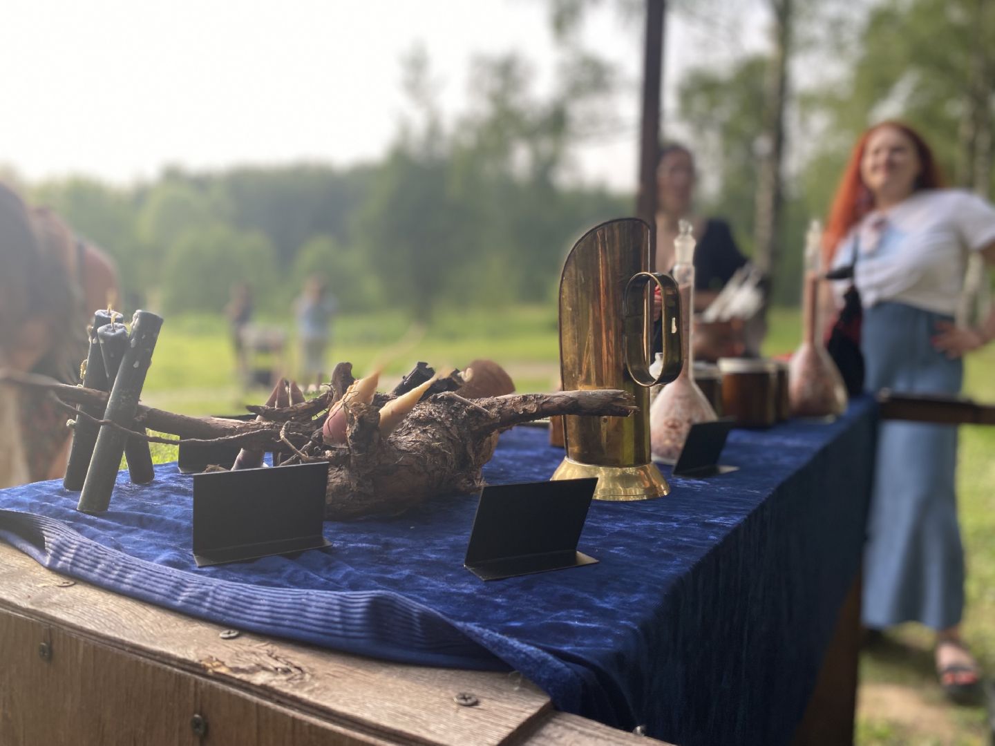 Домодедово, день Ивана Купалы, русский традиции, лесопарк, обряд, гадание, плетение венков