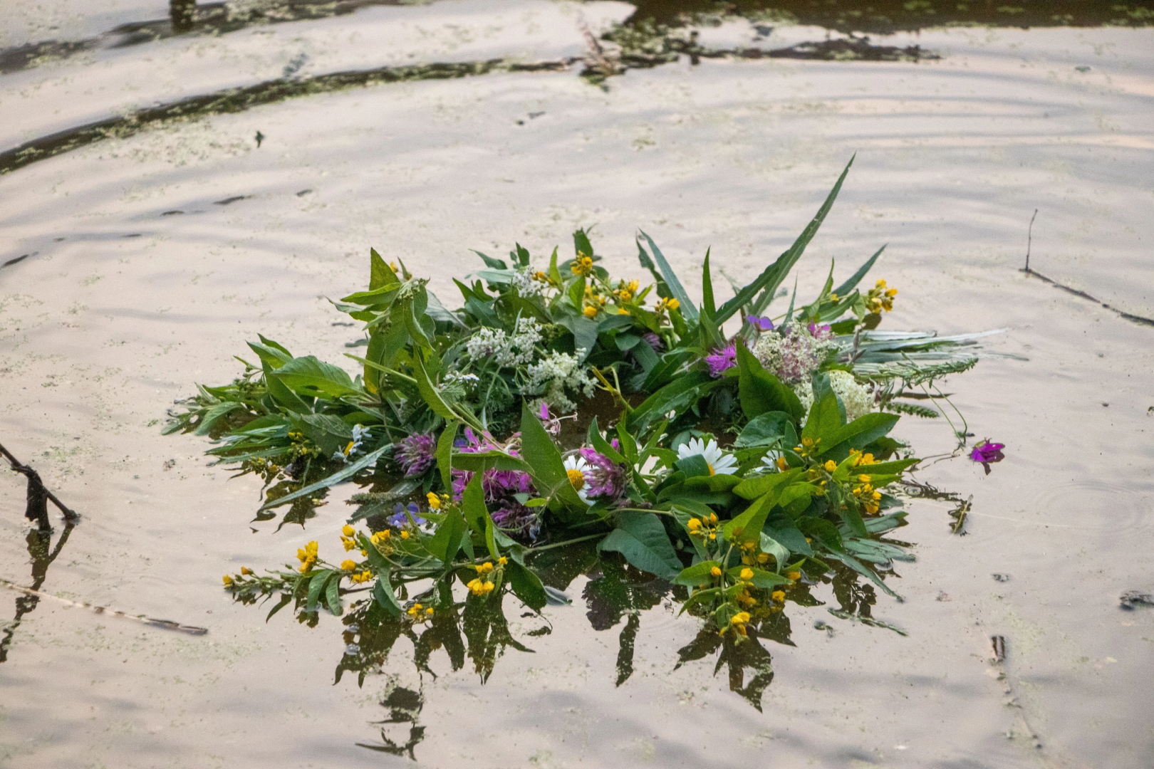 Домодедово, день Ивана Купалы, русский традиции, лесопарк, обряд, гадание, плетение венков