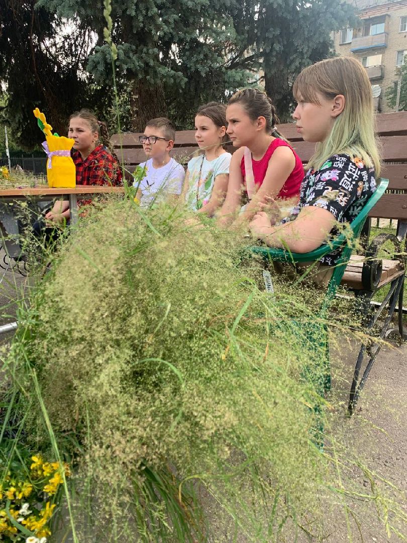 доброе дело, дети, двор,