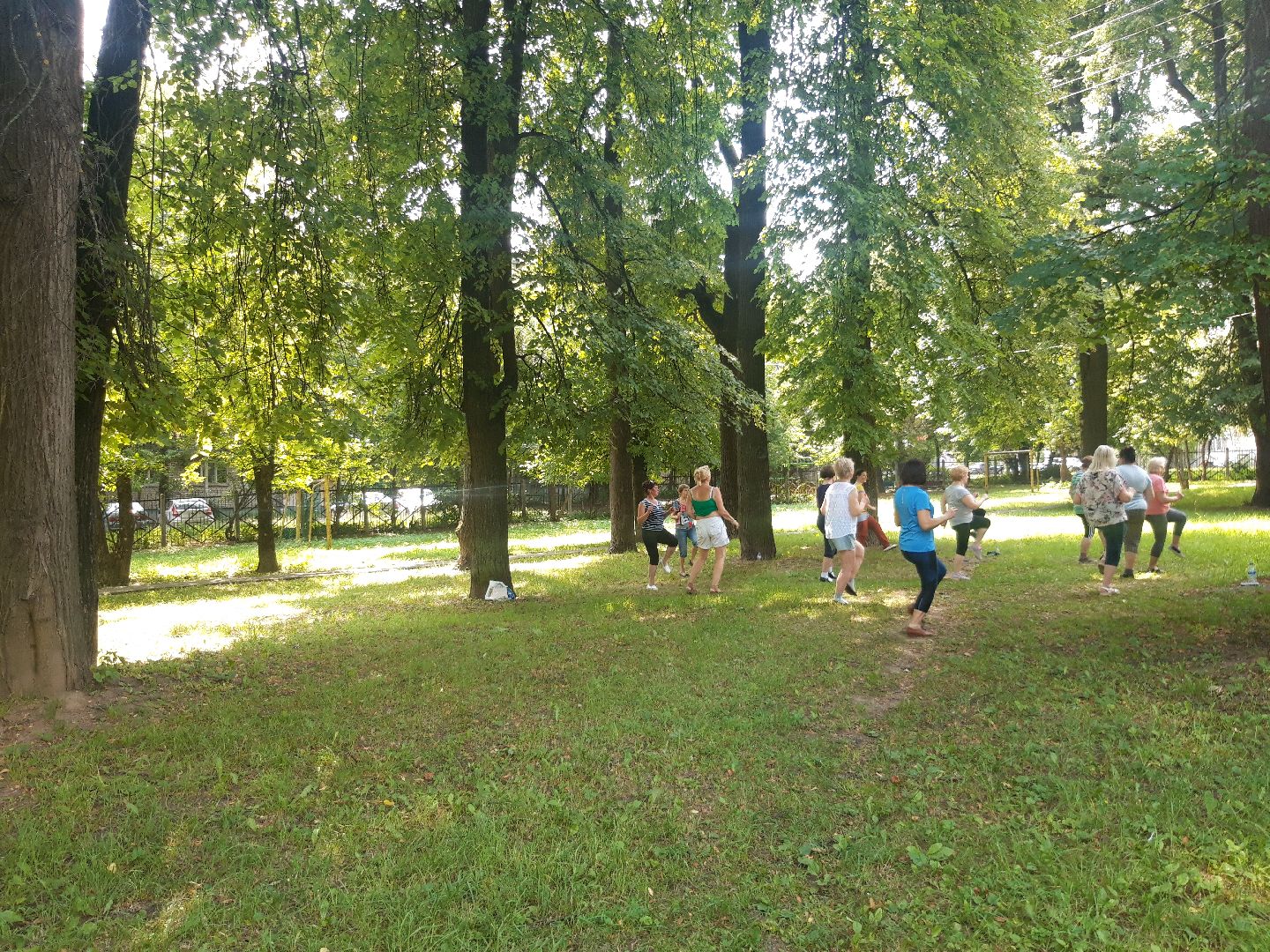 доброе дело, пенсионеры, лето в подмосковье,