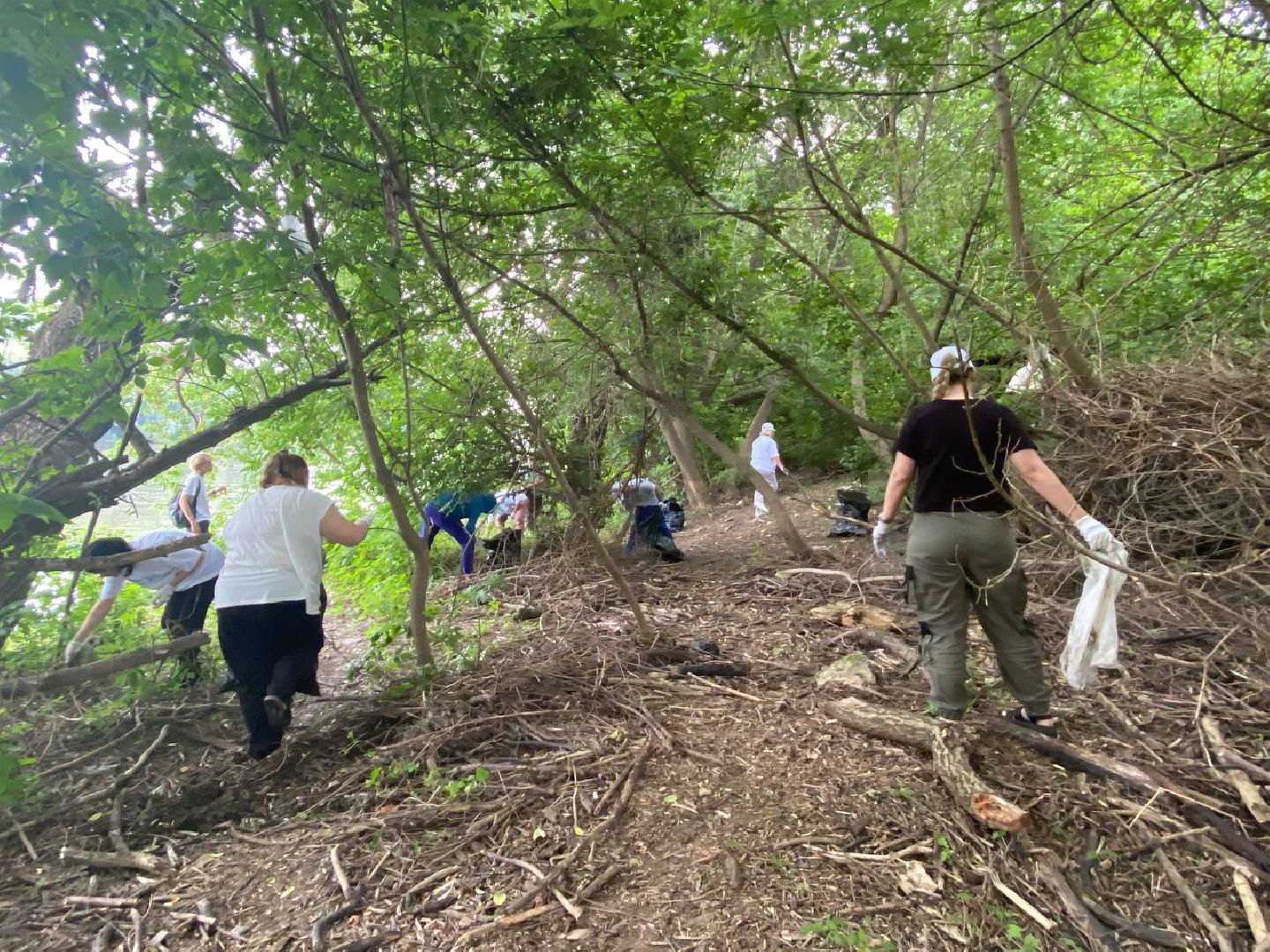 Коломна, добровольчество, экология