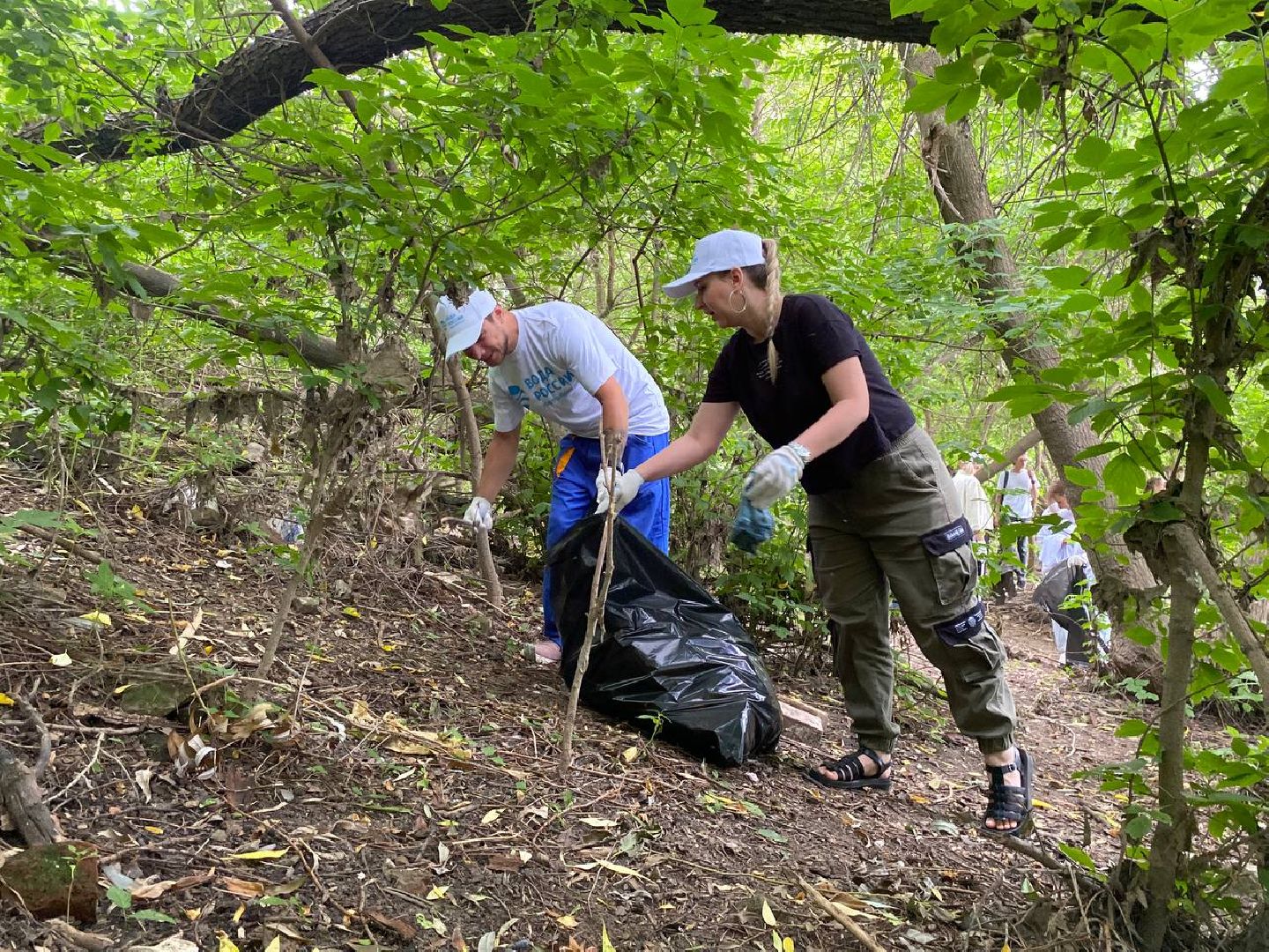 Коломна, добровольчество, экология
