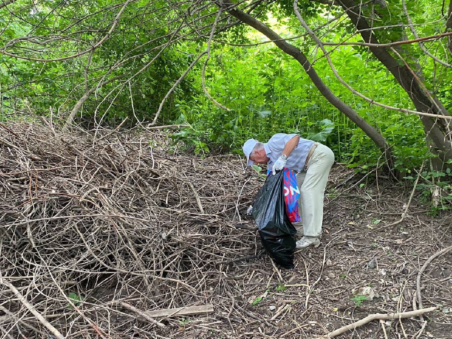 Коломна, добровольчество, экология
