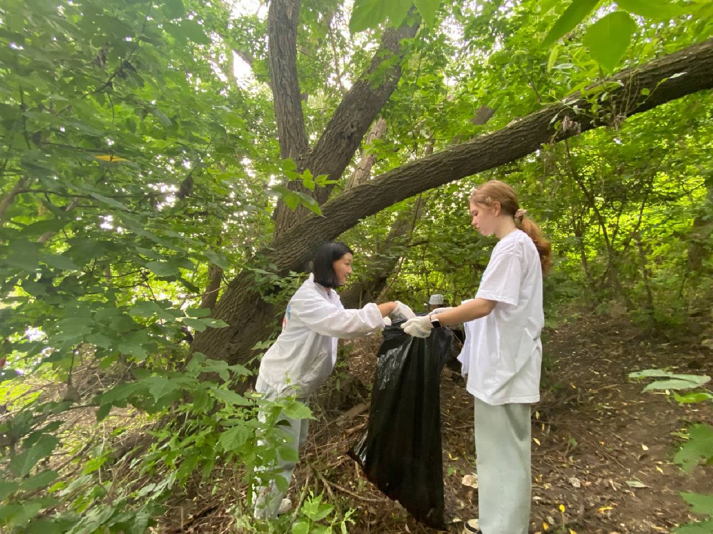 Коломна, добровольчество, экология