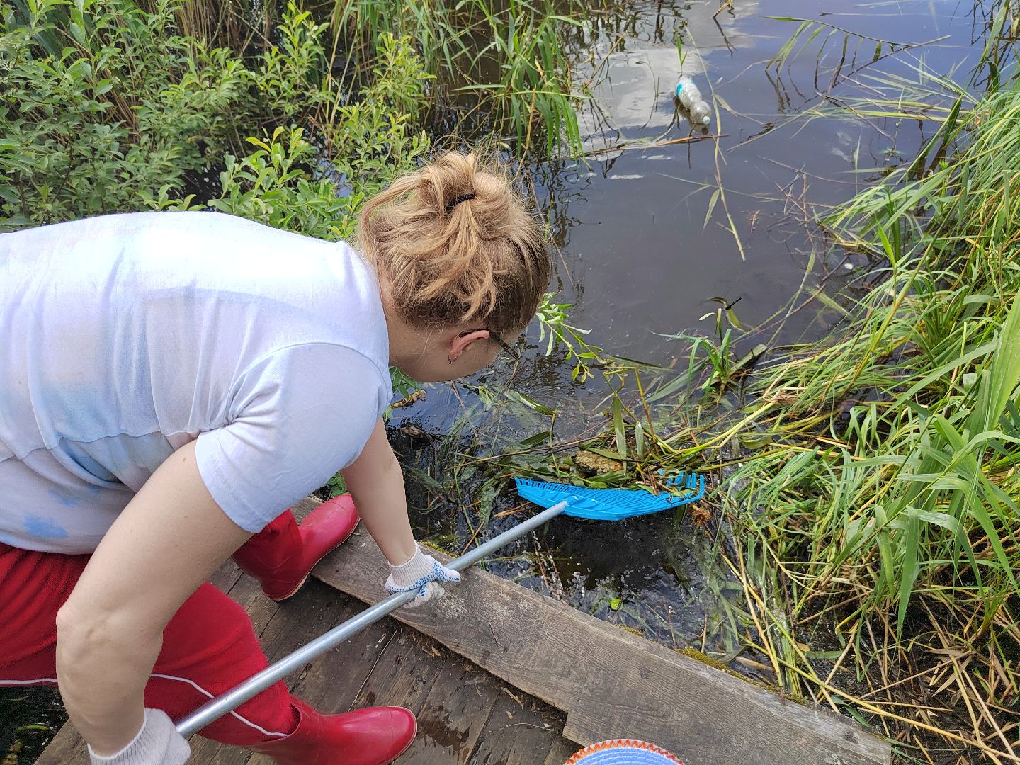 Благоустройство,водоемы,пруды,Красногорск