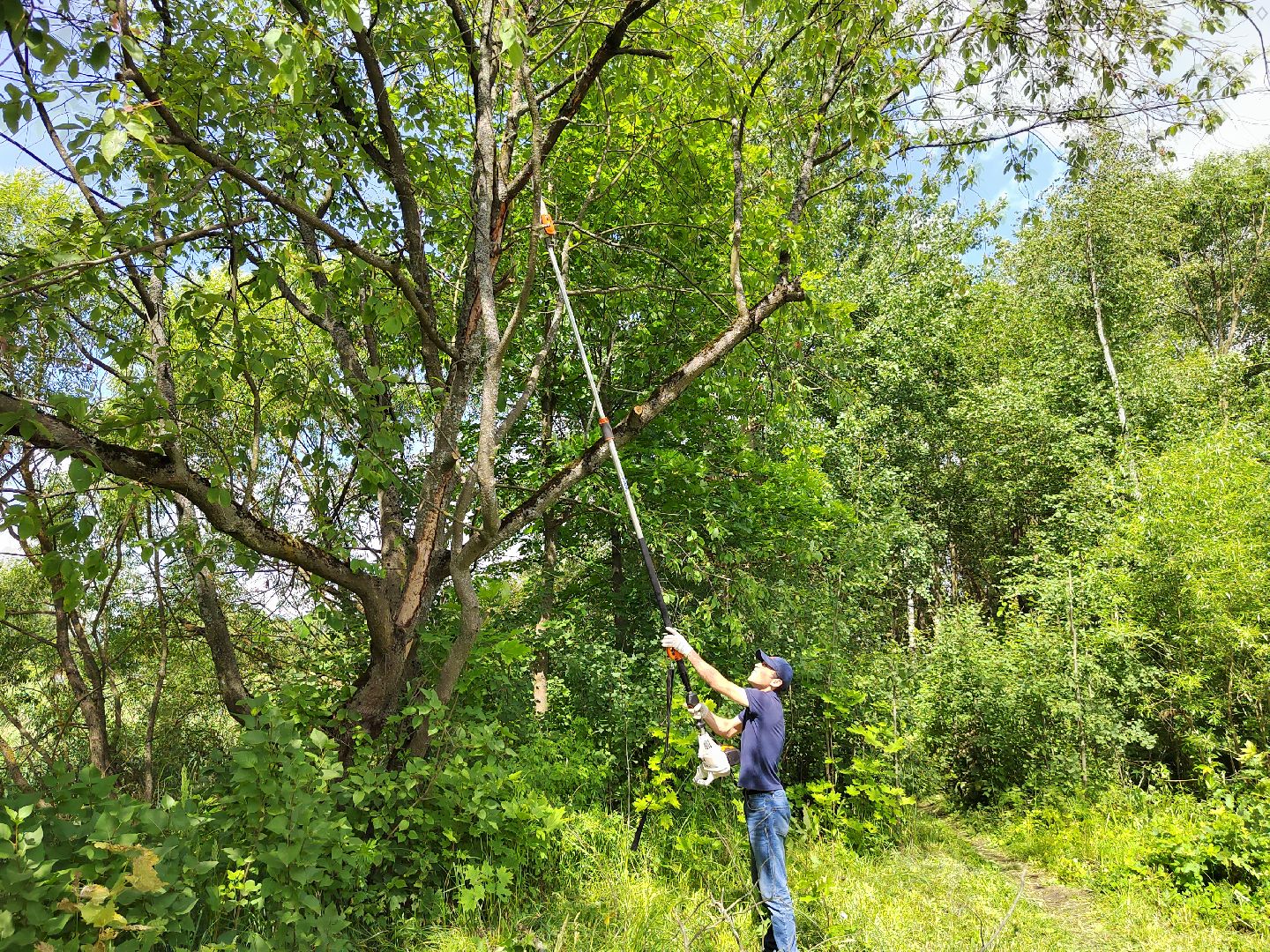 Благоустройство,водоемы,пруды,Красногорск