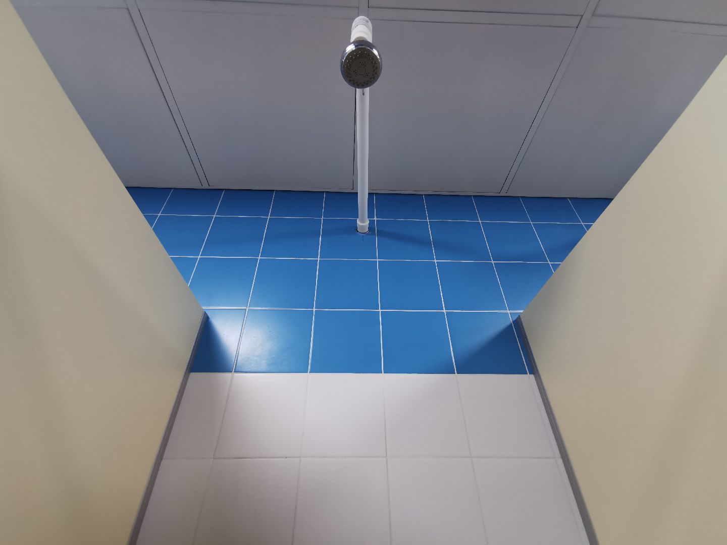 Подольск бассейн