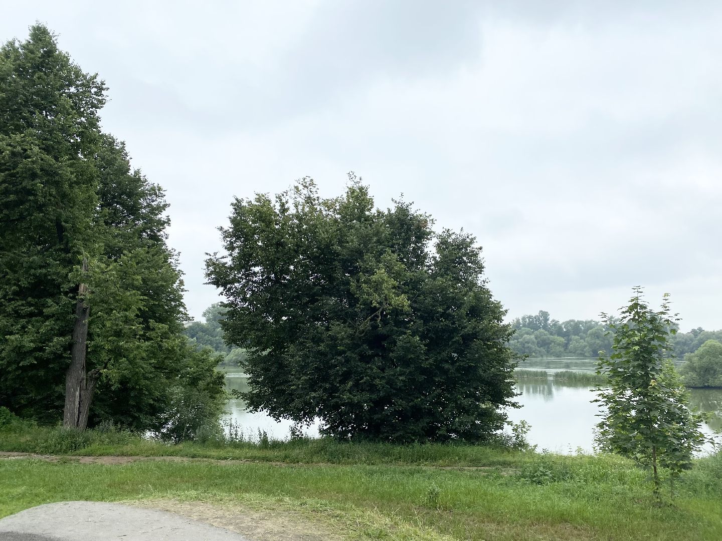 Домодедово, скейт парк, благоустройство, окос травы, покосили траву, уборка газона