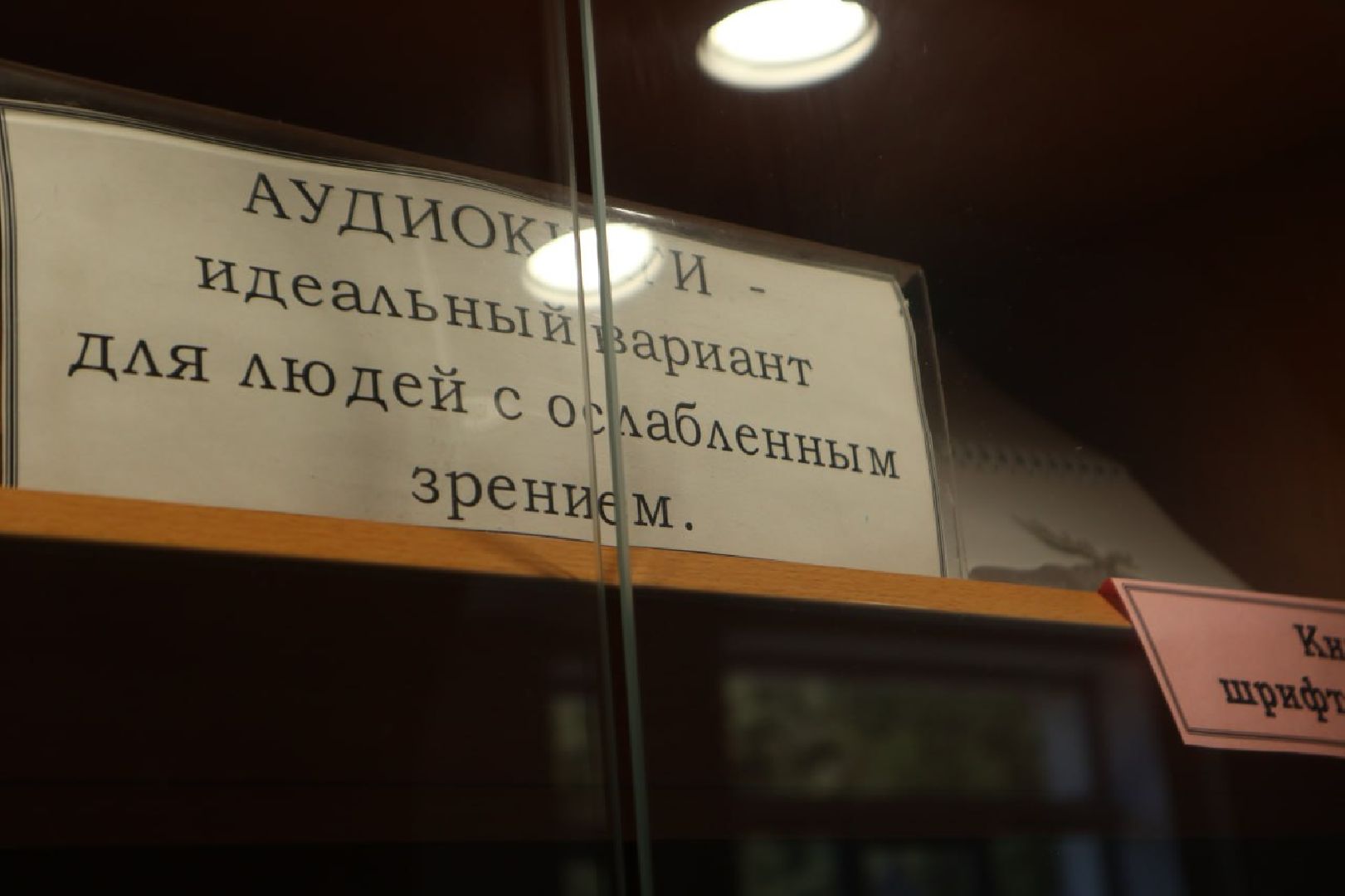 Пущино, доступная среда