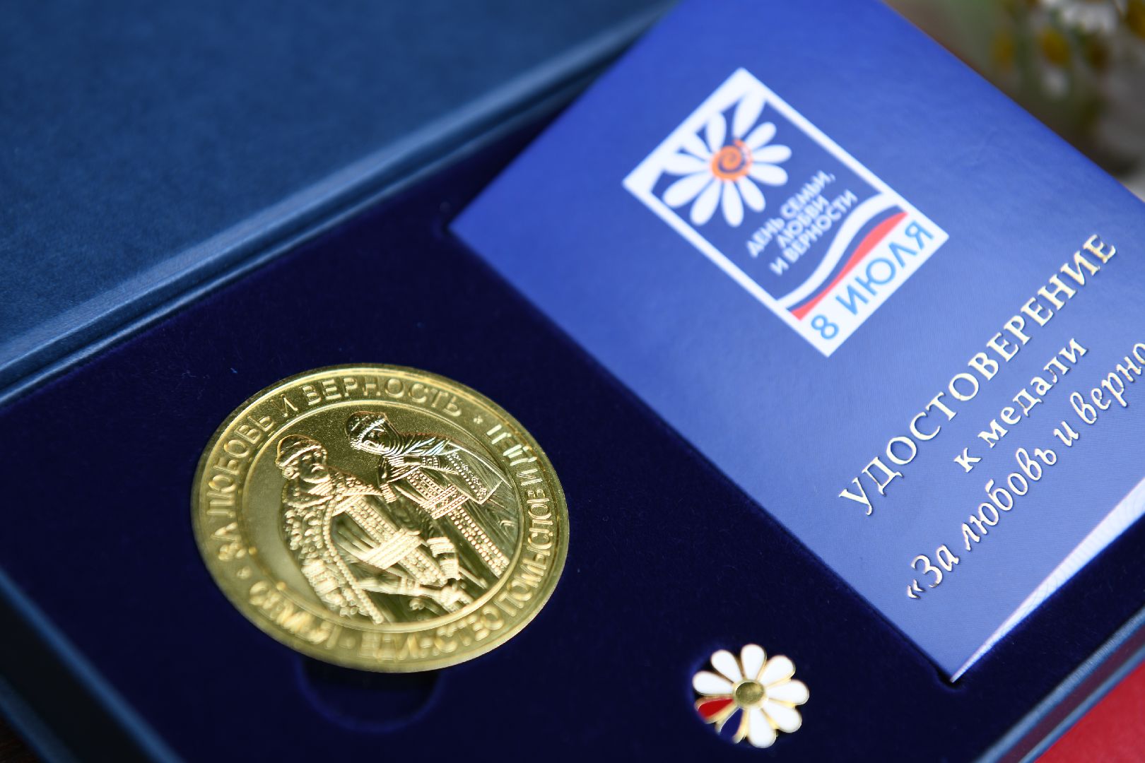 лыткарино, общество, день семьи,