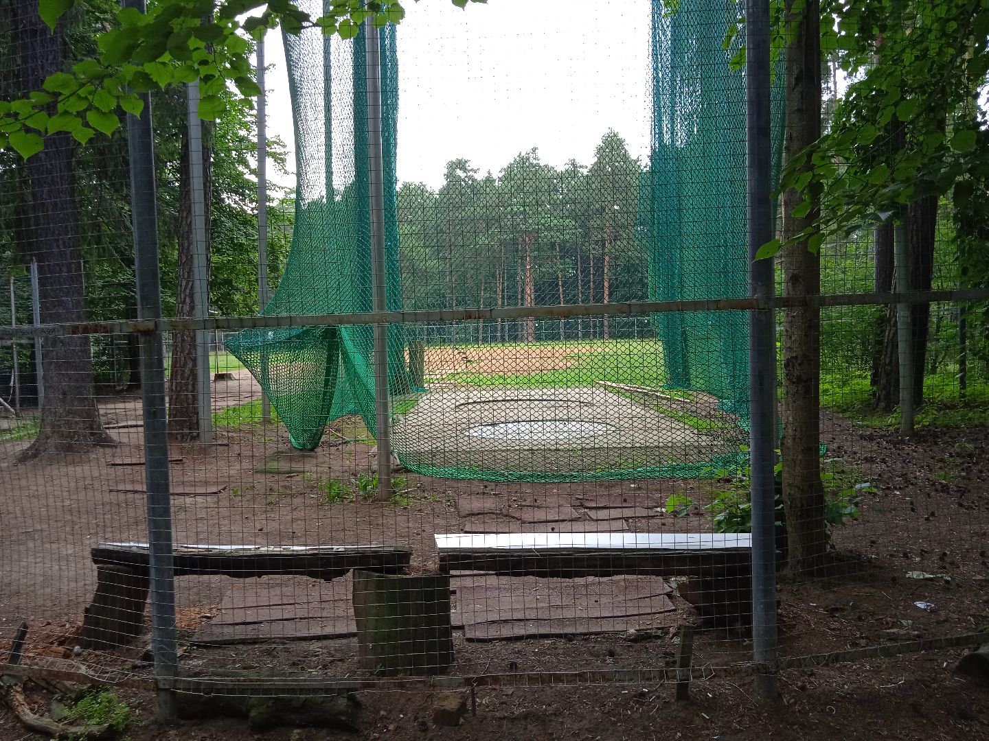 тела, трупы, парк, следственный, комитет