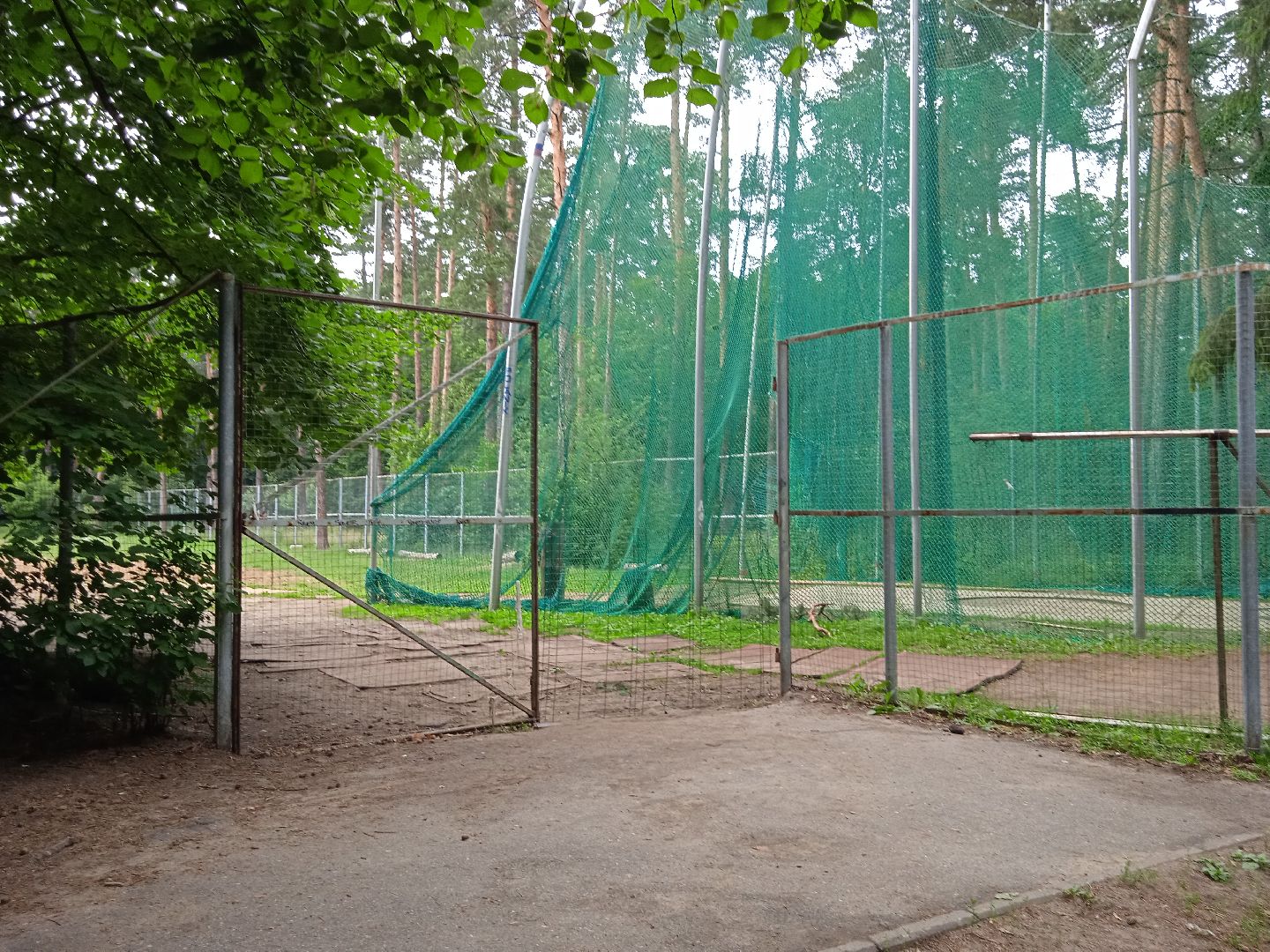 тела, трупы, парк, следственный, комитет