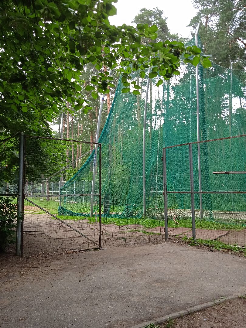 тела, трупы, парк, следственный, комитет