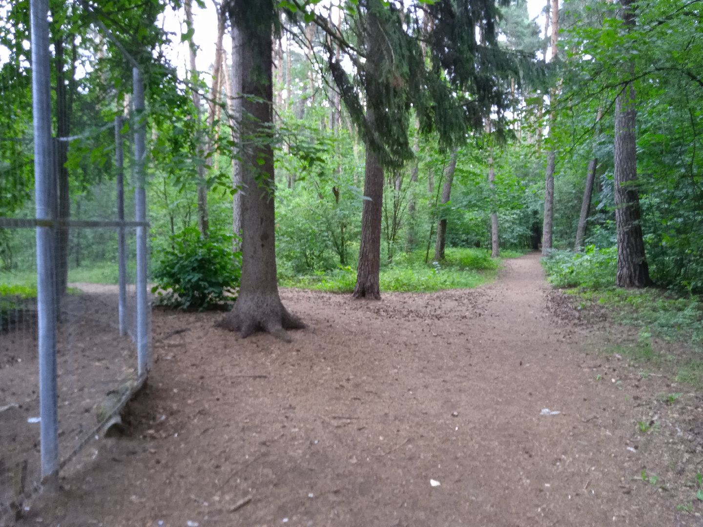 тела, трупы, парк, следственный, комитет