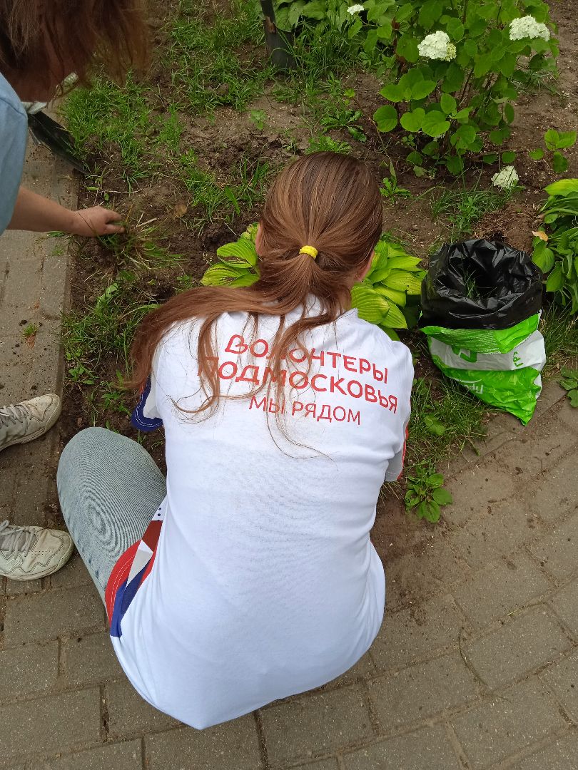 Город-сад, движение, молодая гвардия, волонтёры, растения