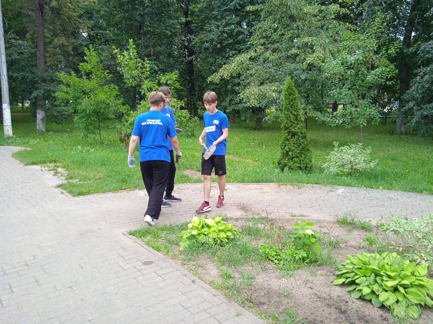 Город-сад, движение, молодая гвардия, волонтёры, растения