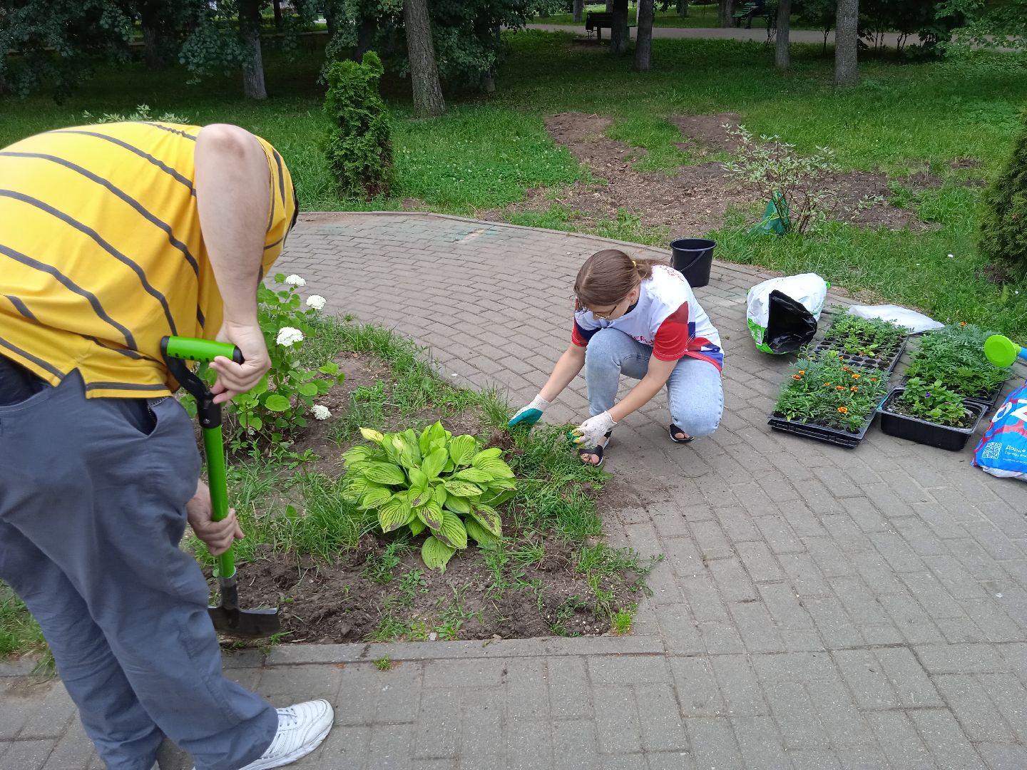 Город-сад, движение, молодая гвардия, волонтёры, растения