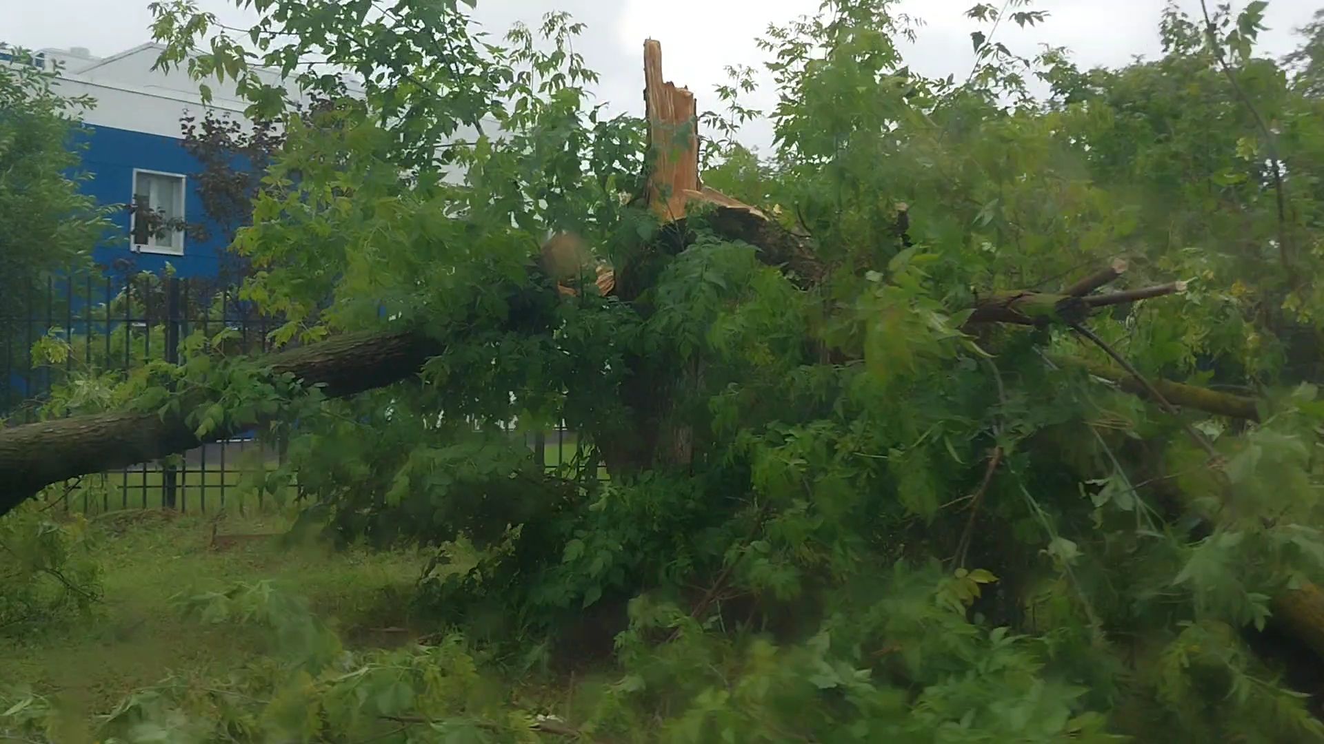 Коломна, грозовой фронт, последствия ЧП