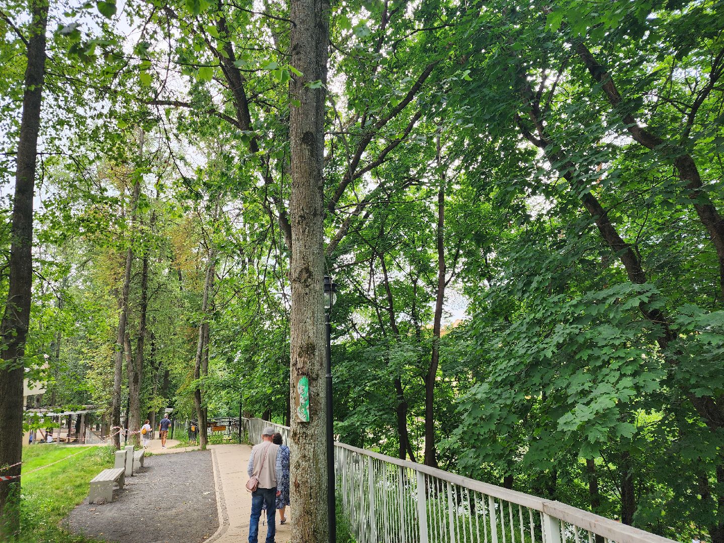 Звенигород, Активное долголетие, туризм, по живописным местам Подмосковья, Андрей Воробьев