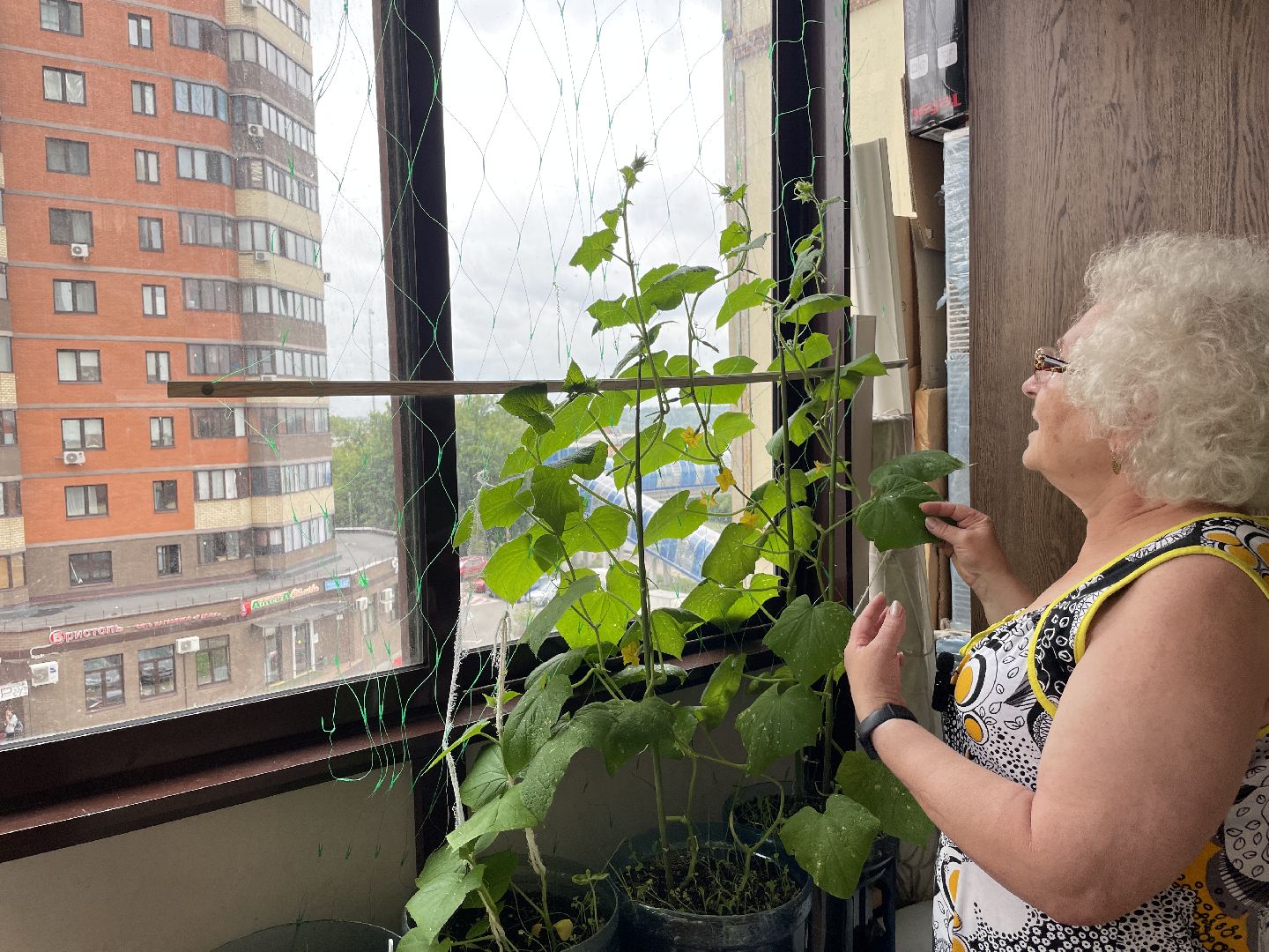 Юбиляры, пара, семья, любовь