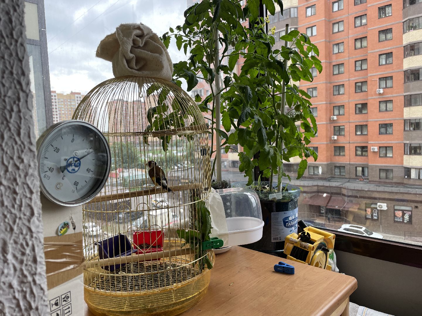 Юбиляры, пара, семья, любовь