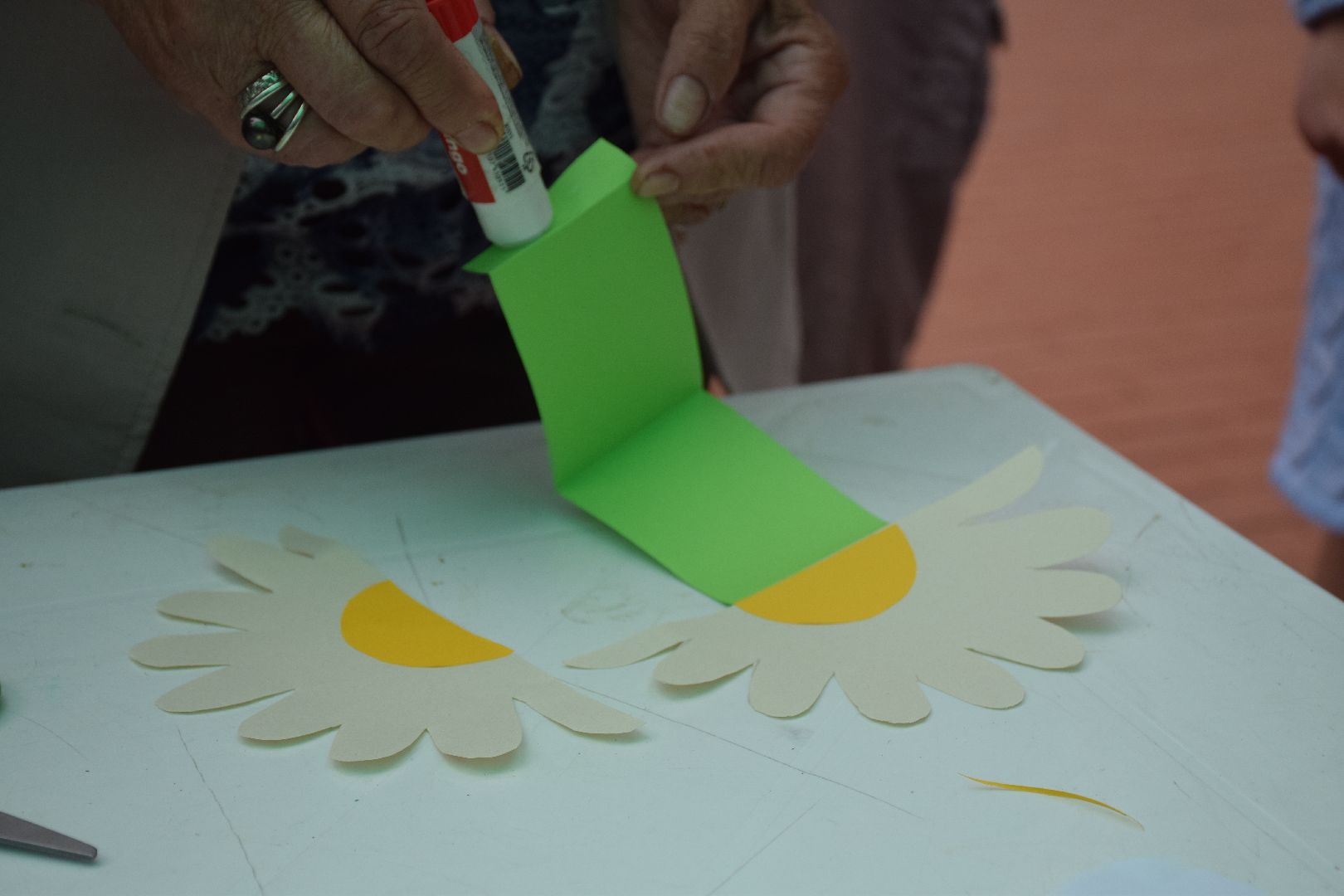 Павловский Посад, городской округ Павловский Посад, парк, дети, образование, день семьи, ромашка