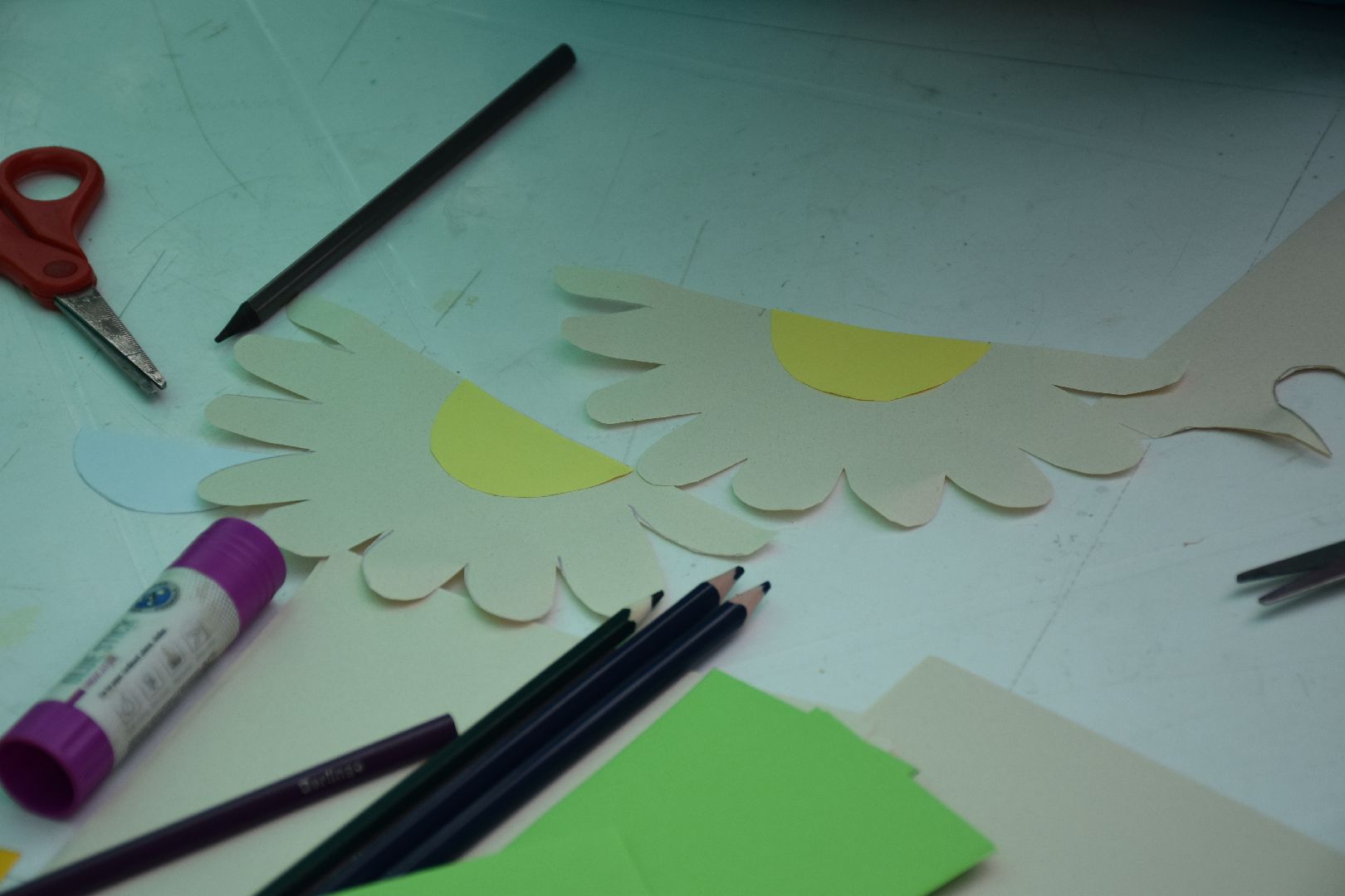 Павловский Посад, городской округ Павловский Посад, парк, дети, образование, день семьи, ромашка