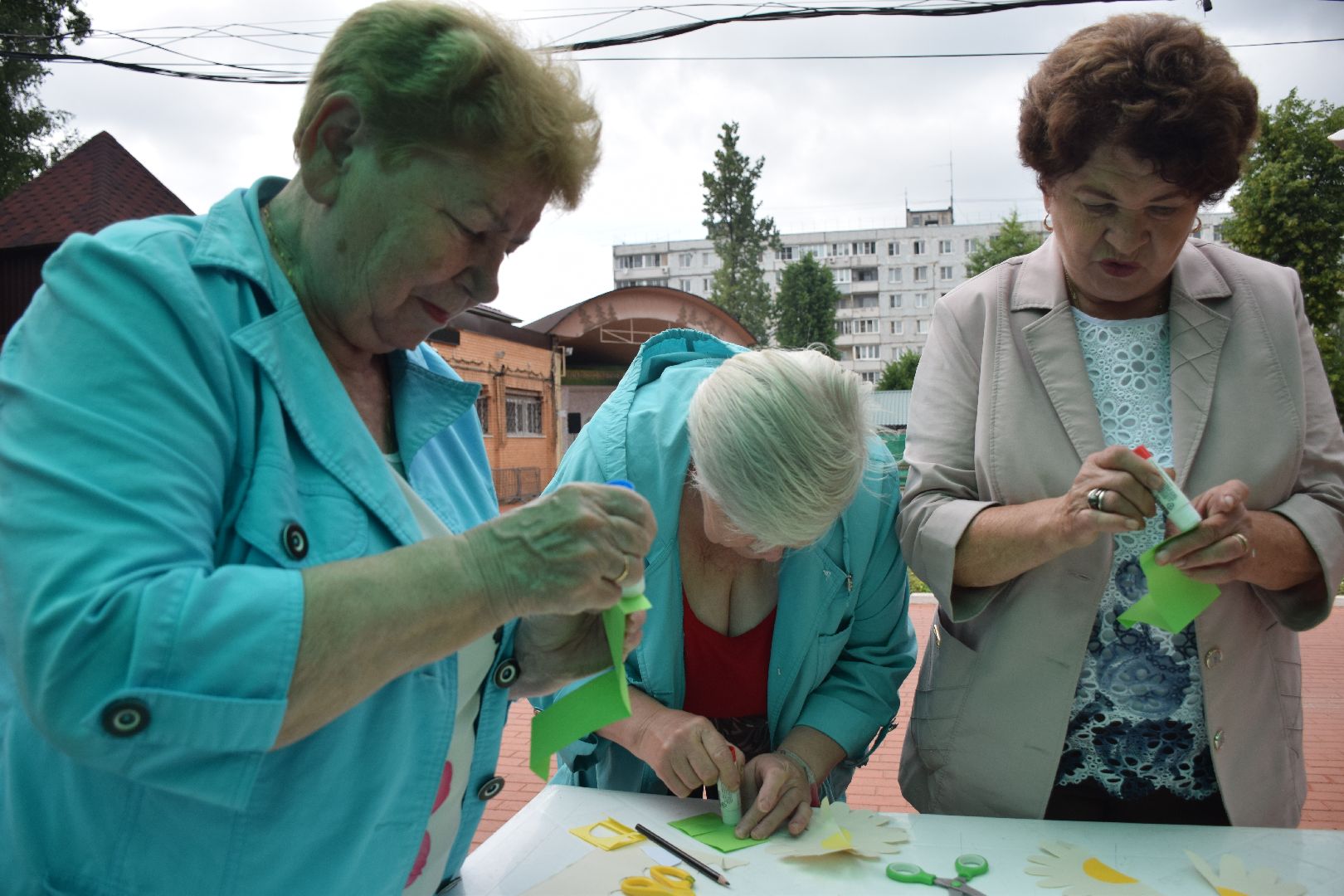 Павловский Посад, городской округ Павловский Посад, парк, дети, образование, день семьи, ромашка