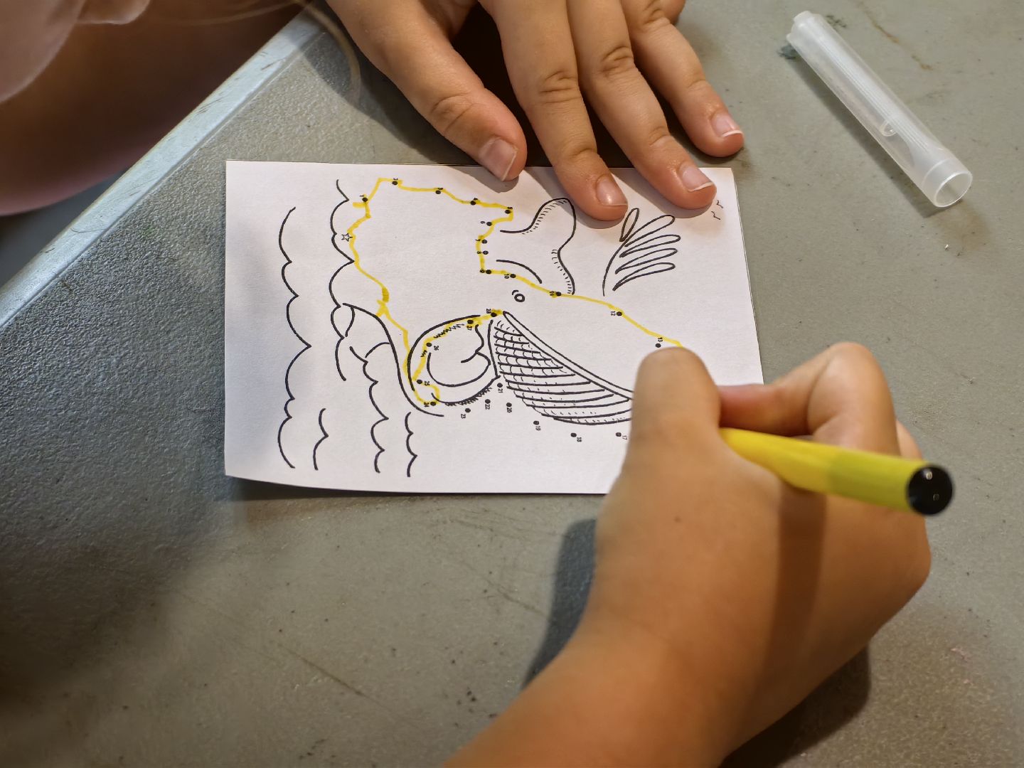 Лекторий, путешествие, парк, дети