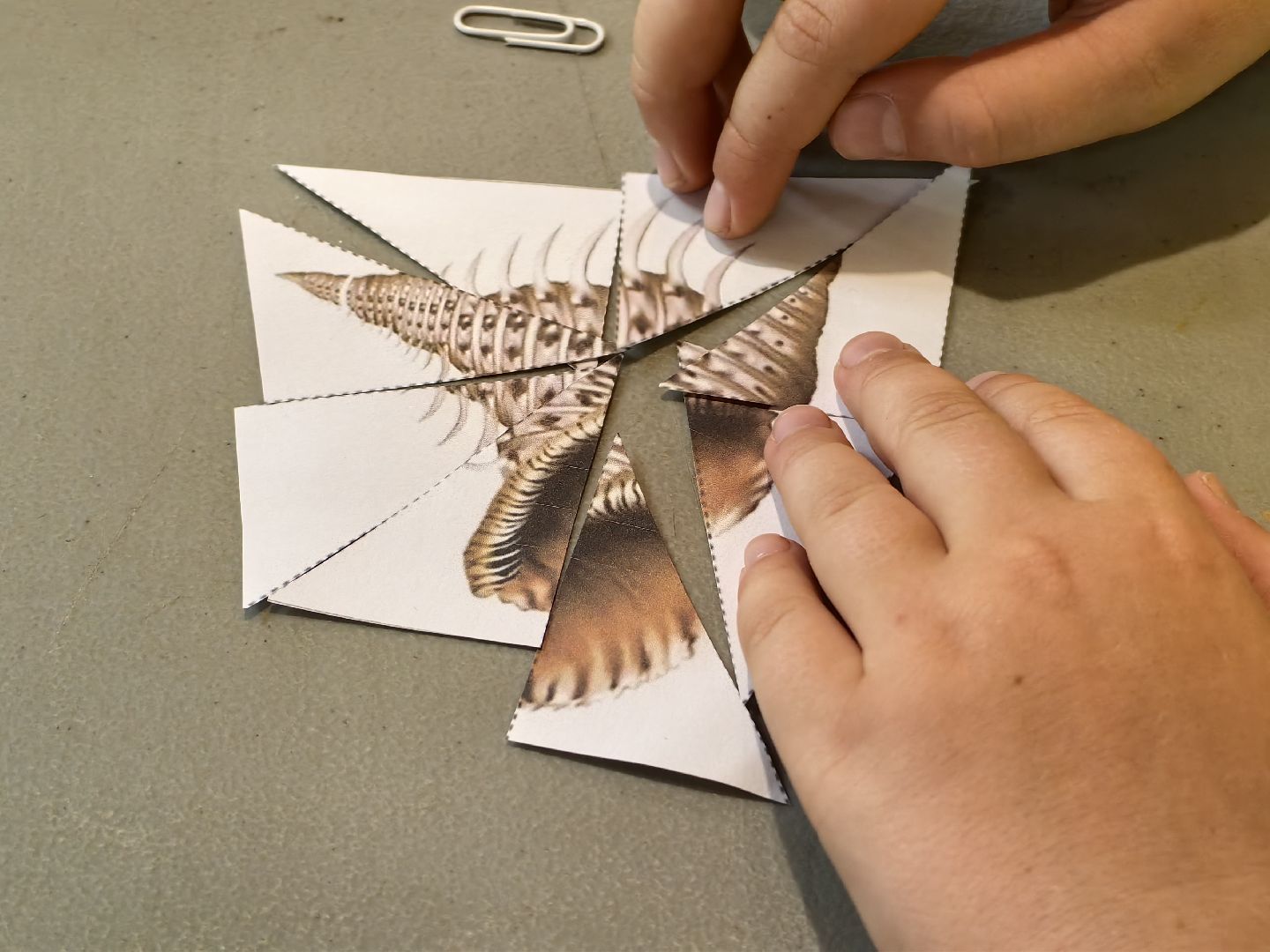 Лекторий, путешествие, парк, дети