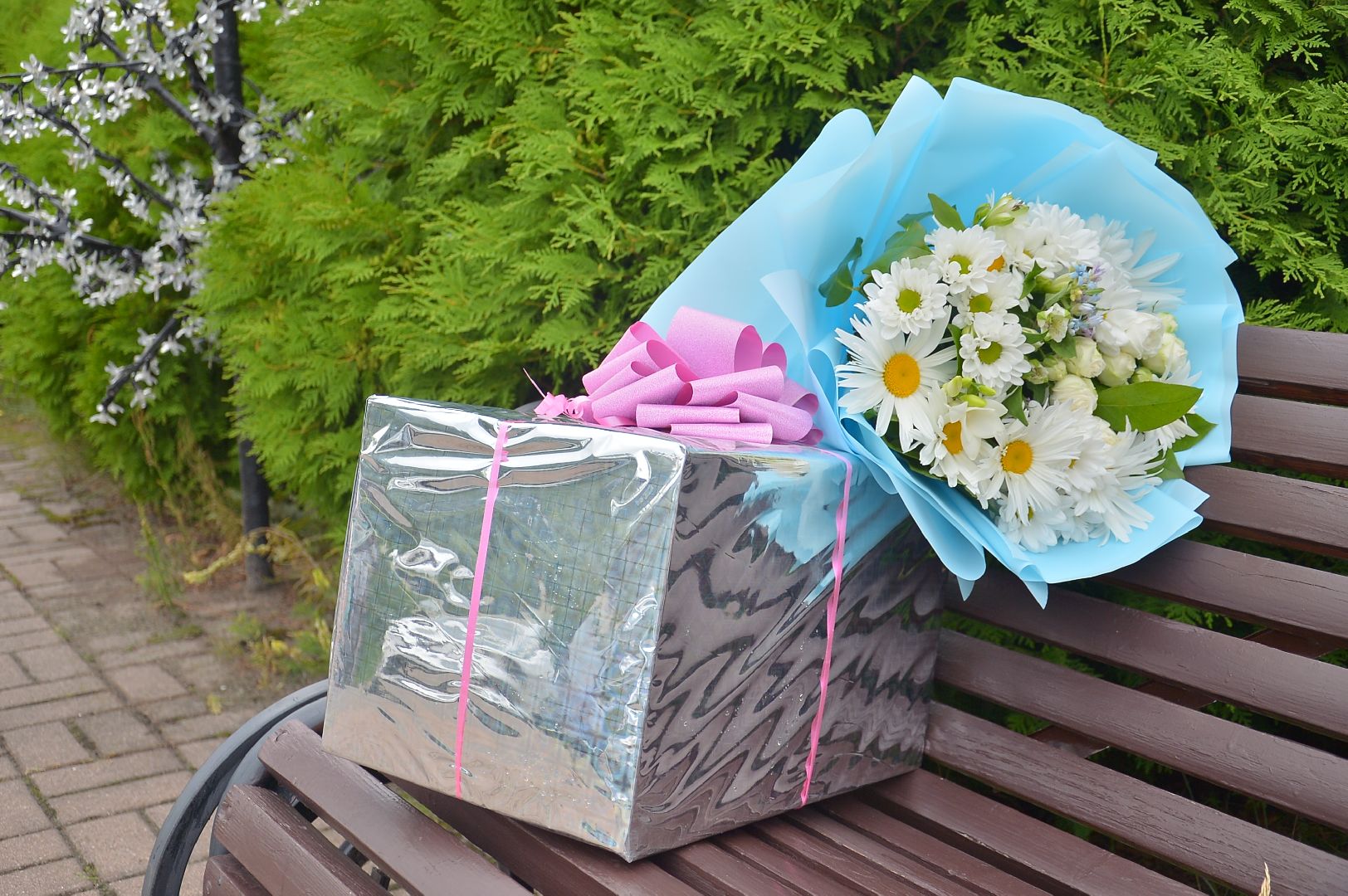 #БольшаяШатура#деньсемьи#свадьба