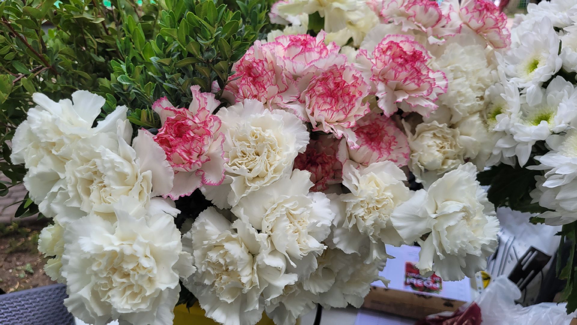 невесты; наряды; видное; парад